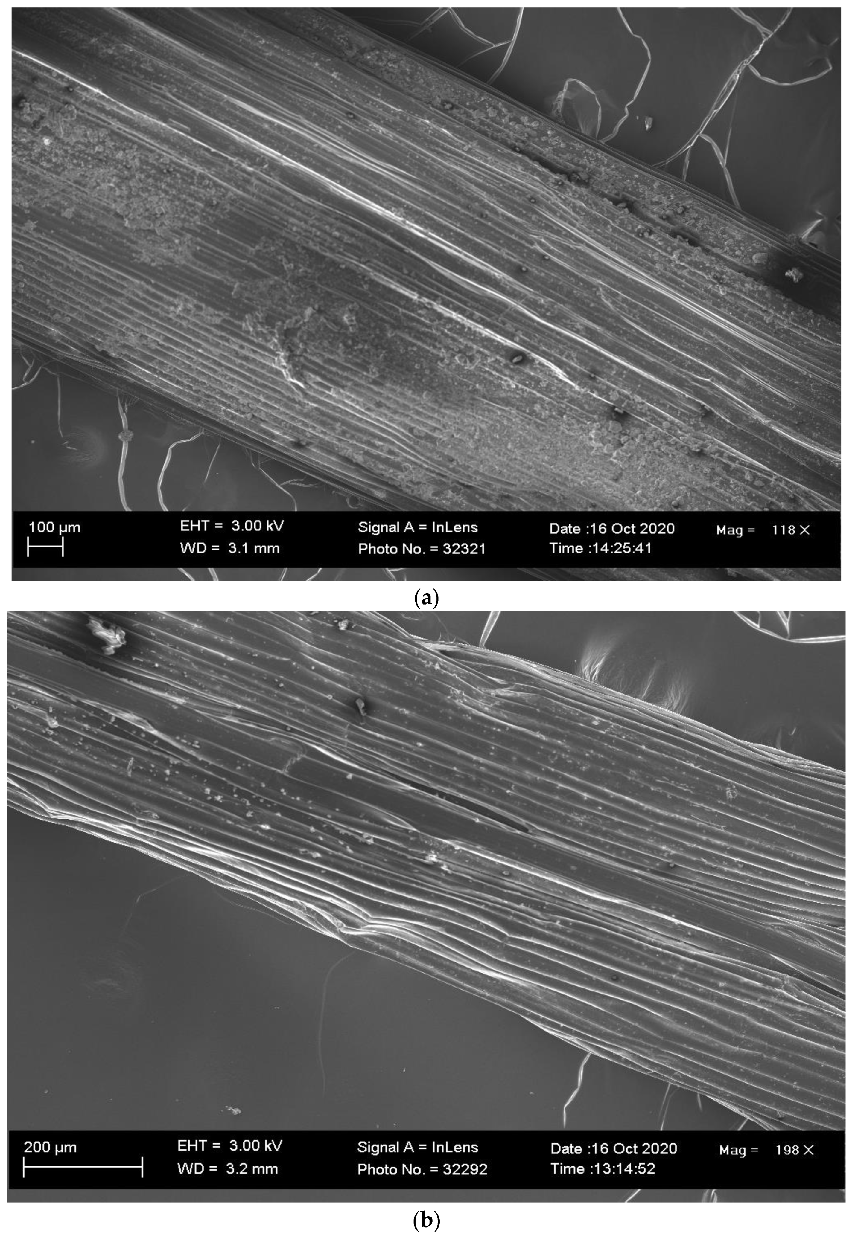 Minerals 13 00873 g008