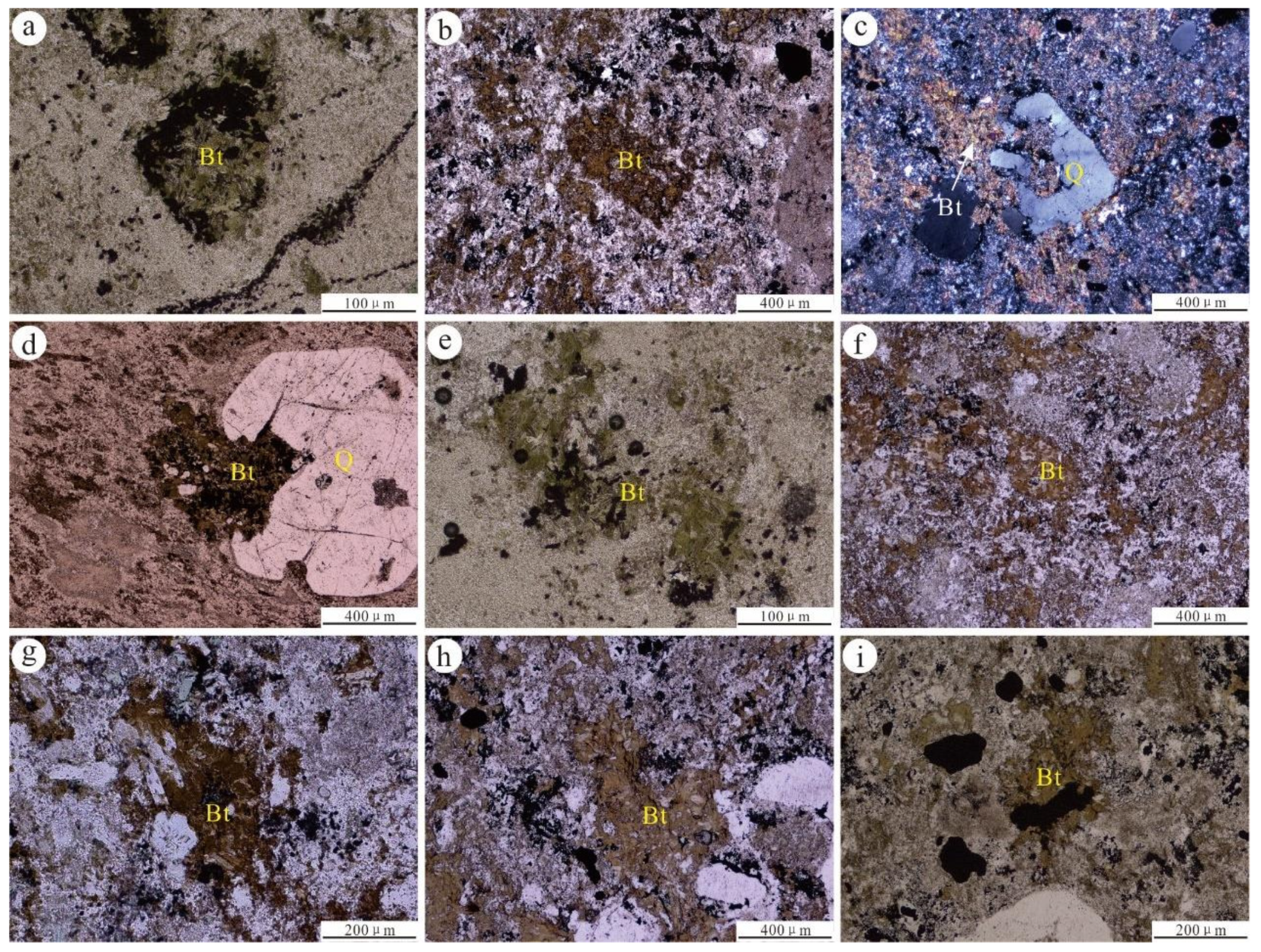 Minerals 13 00876 g003