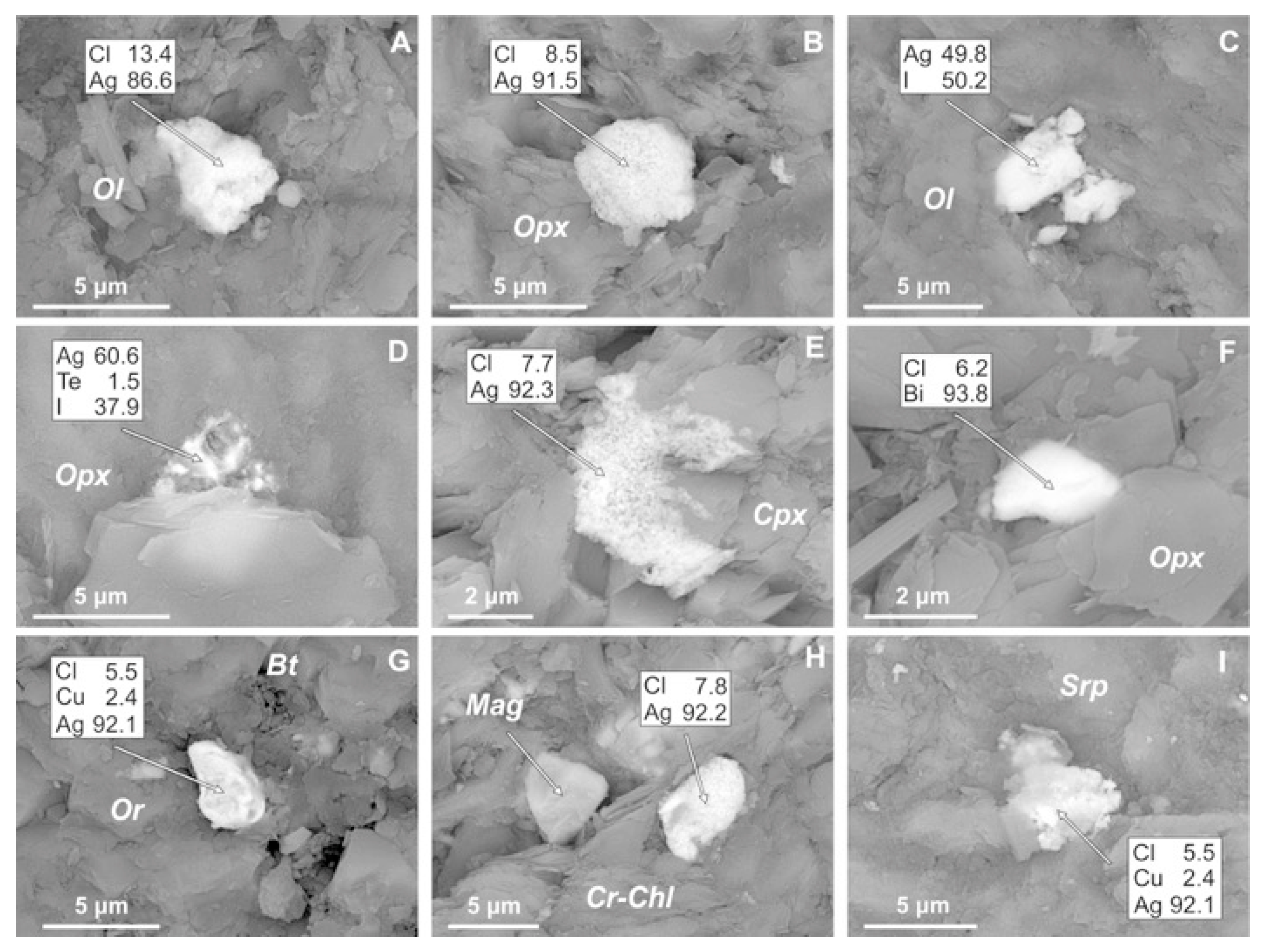 Minerals 13 00878 g013