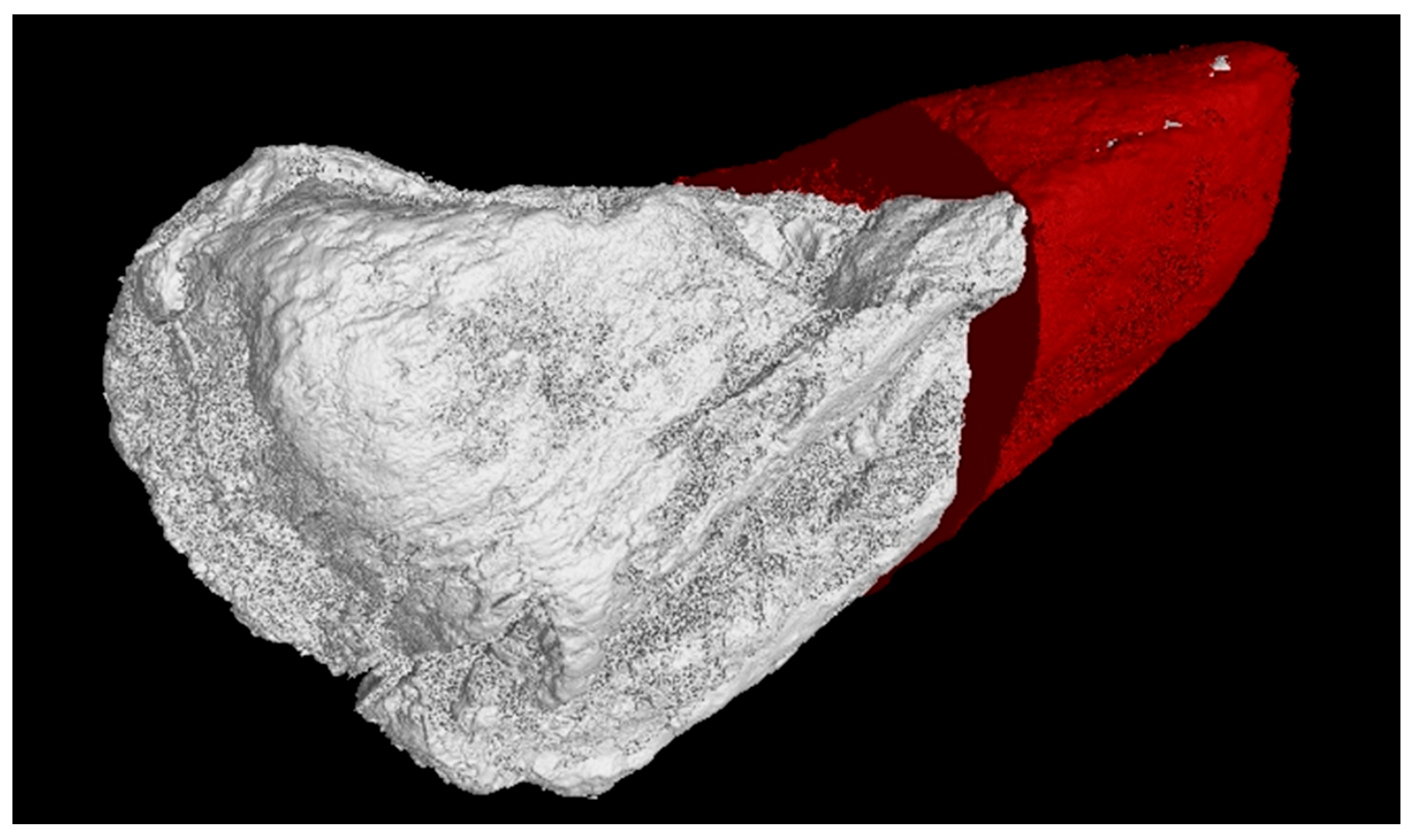 Minerals 13 00884 g007 Minerals 13 00884 g007