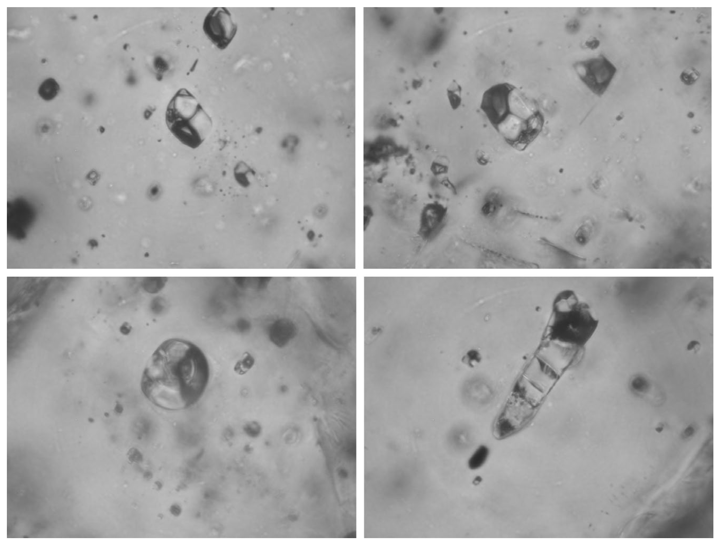 Minerals 13 00913 g001