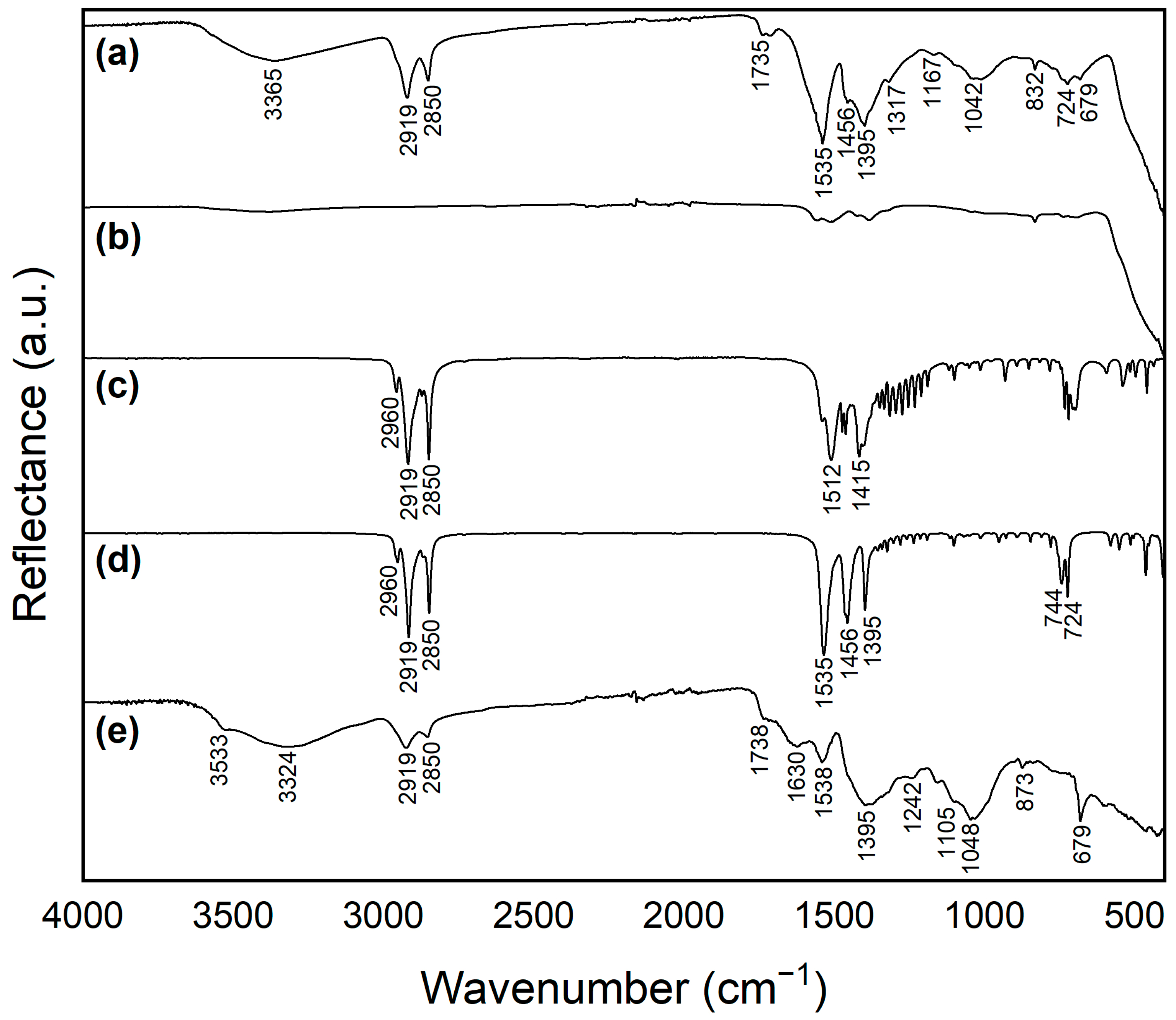 Minerals 13 00919 g005