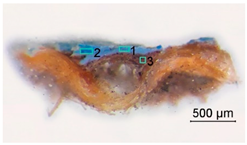 Minerals 13 00919 i002 Minerals 13 00919 i002