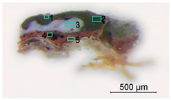 Minerals 13 00919 i003 Minerals 13 00919 i003