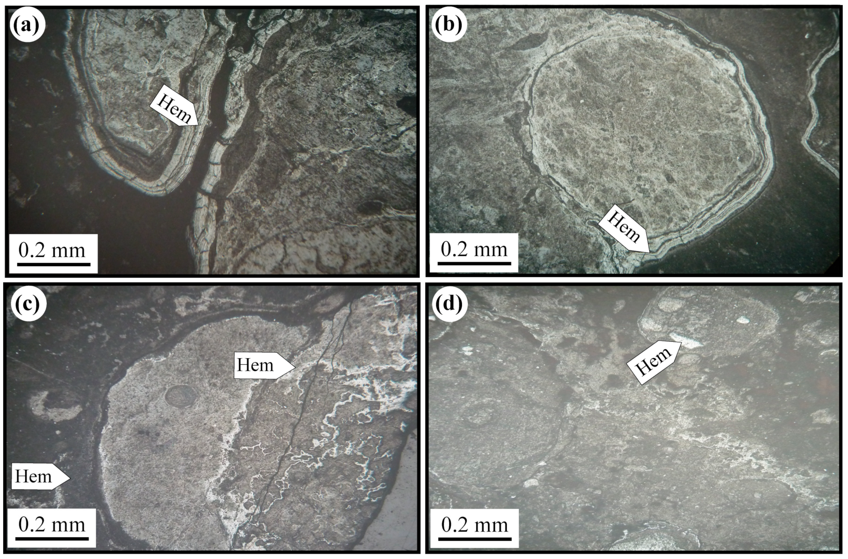 Minerals 13 00926 g003
