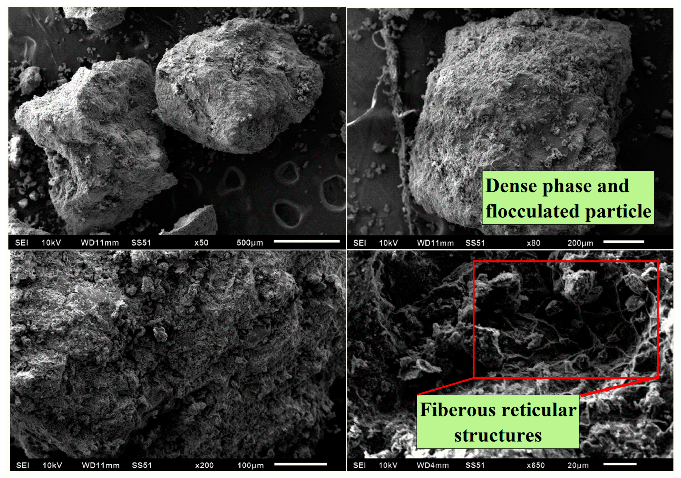 Minerals 13 00933 g010