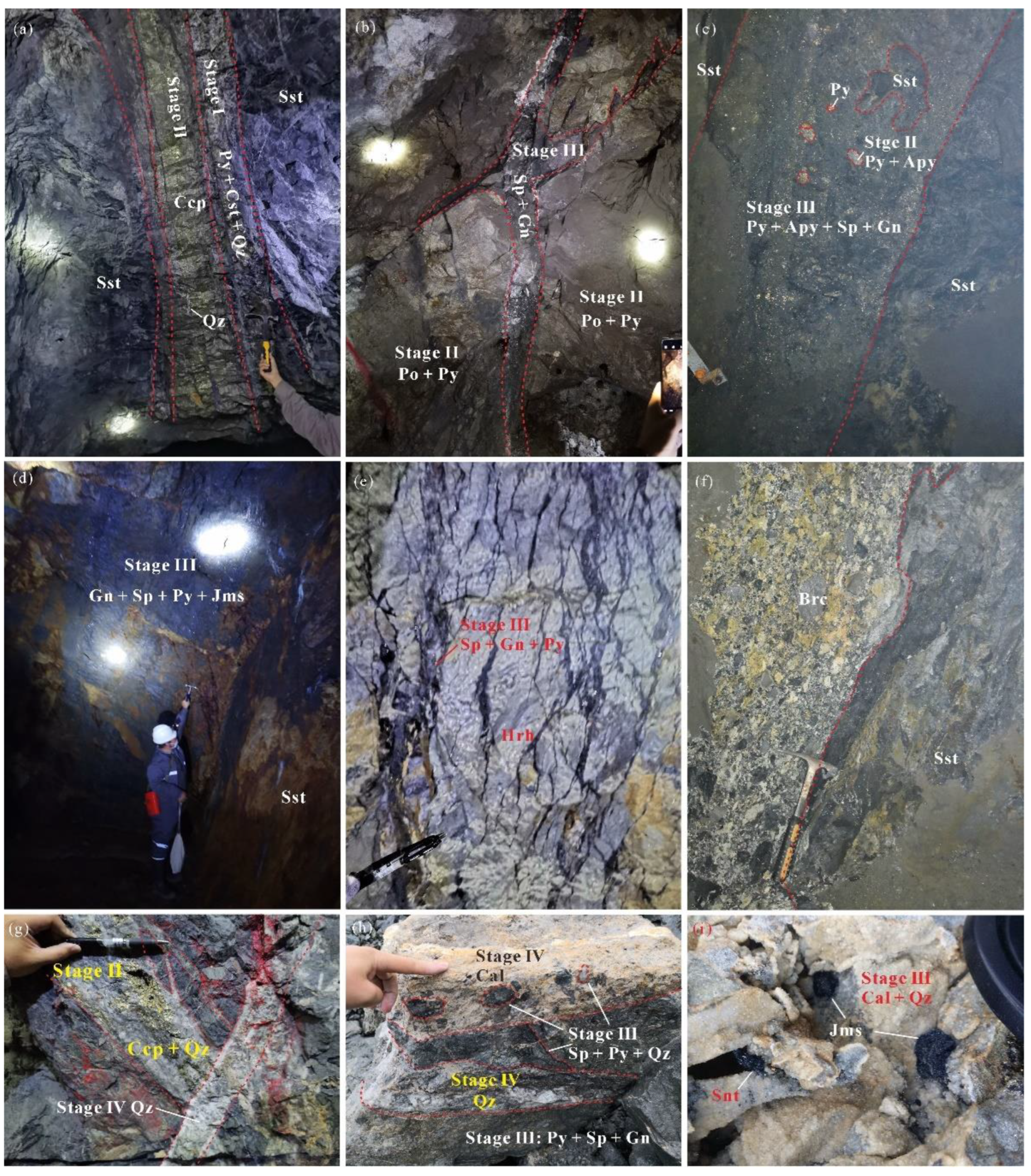 Minerals 13 00939 g006