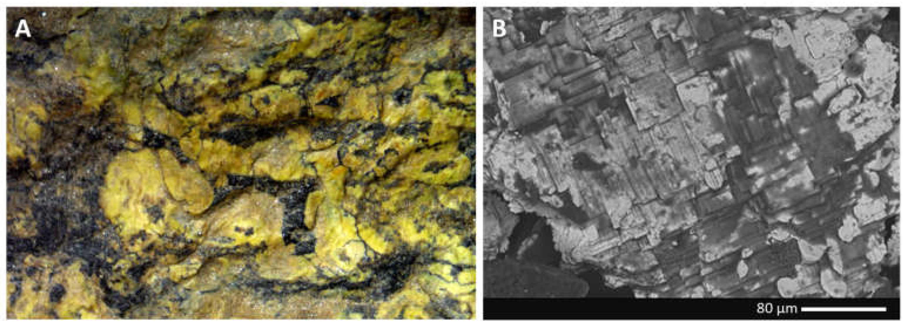 Minerals 13 00945 g002