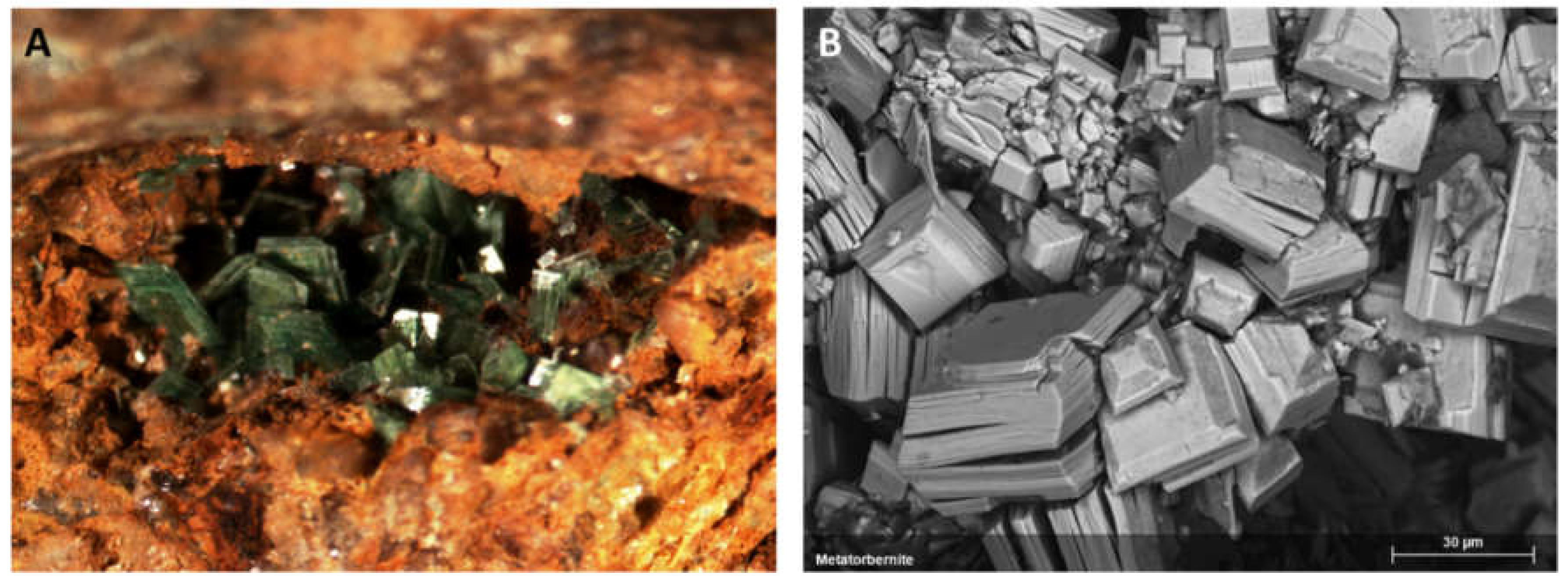 Minerals 13 00945 g004