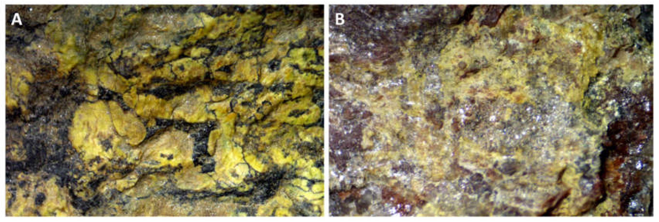 Minerals 13 00945 g007