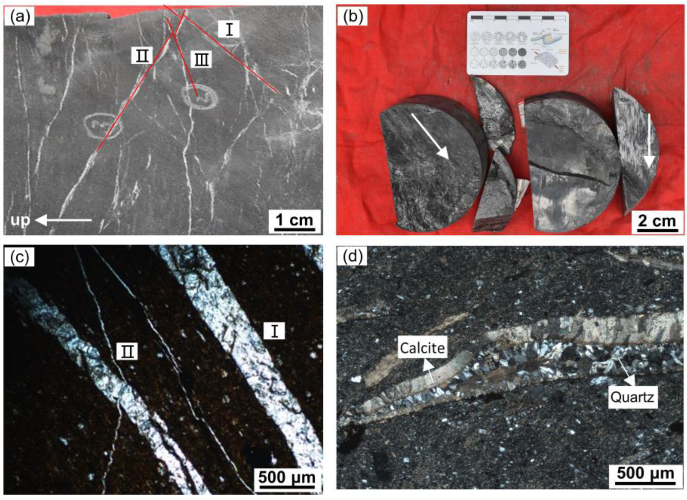 Minerals 13 00946 g009