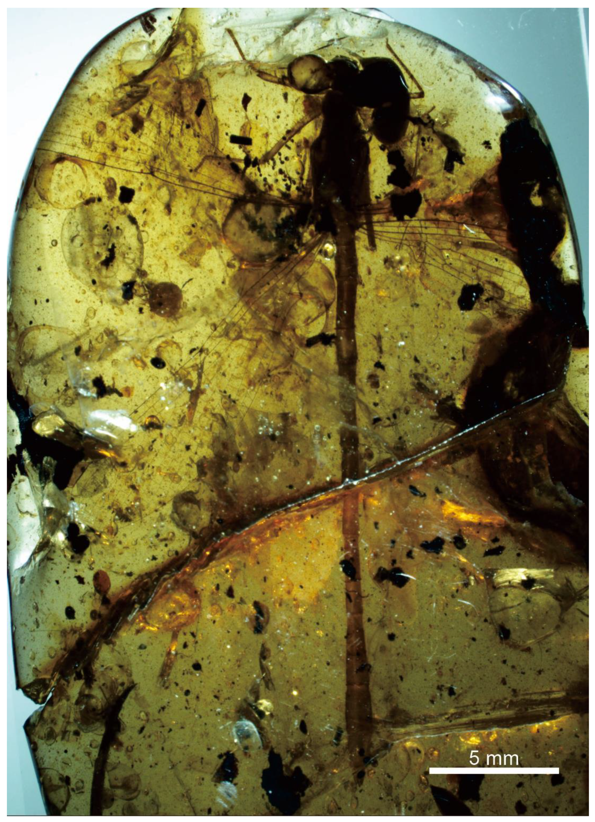 Minerals 13 00948 g002