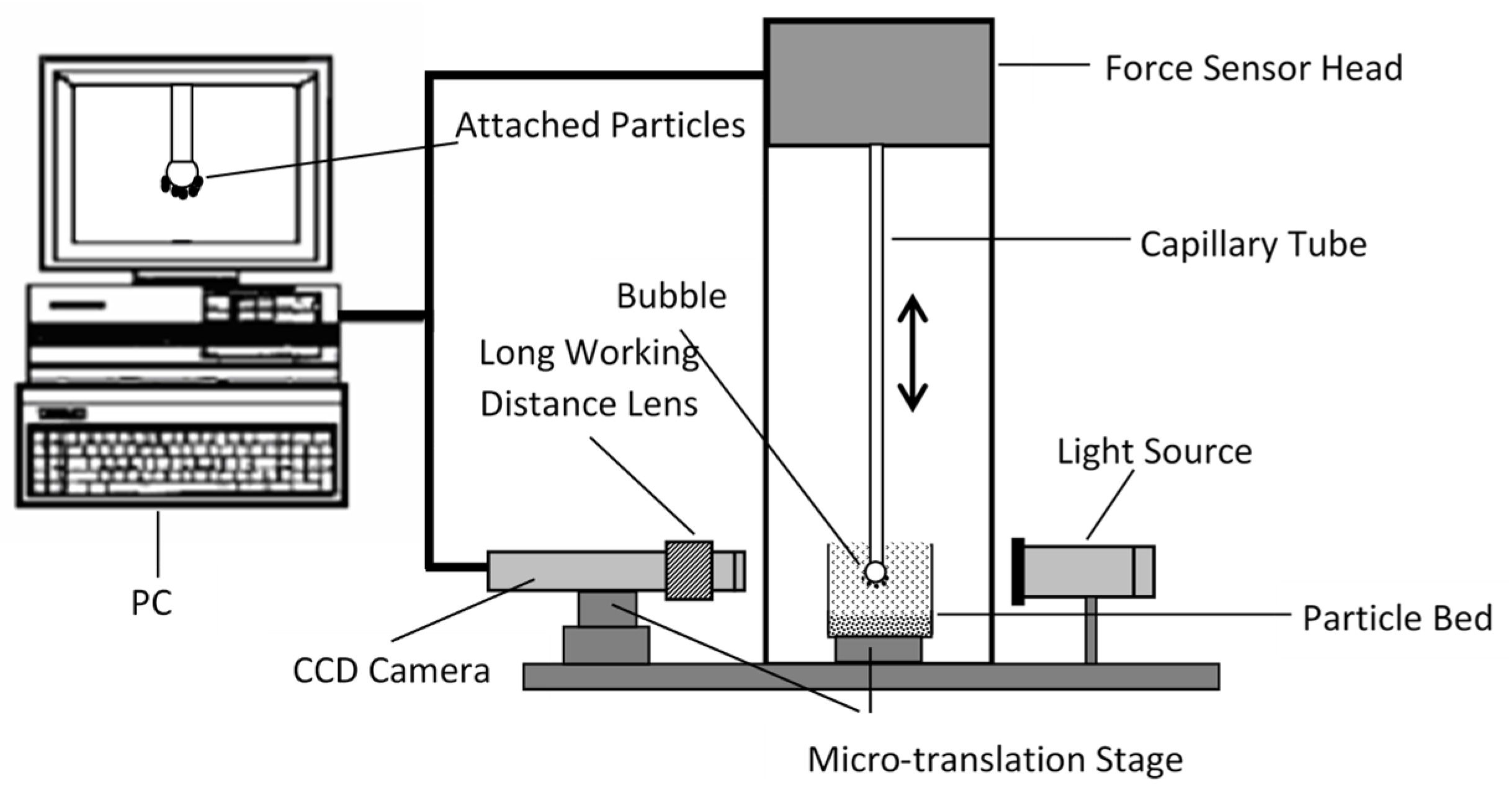 Minerals 13 00957 g005