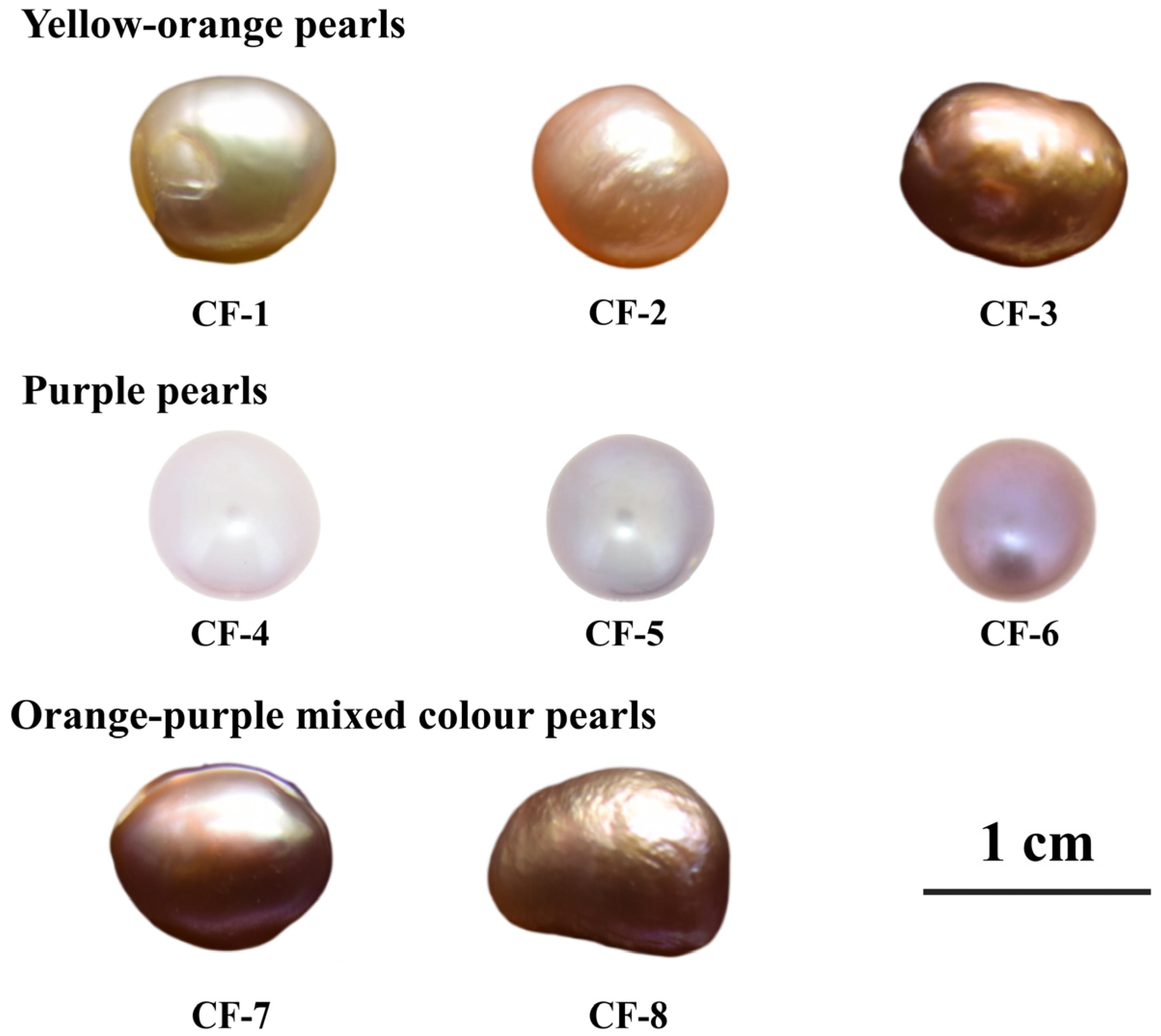Minerals 13 00959 g001
