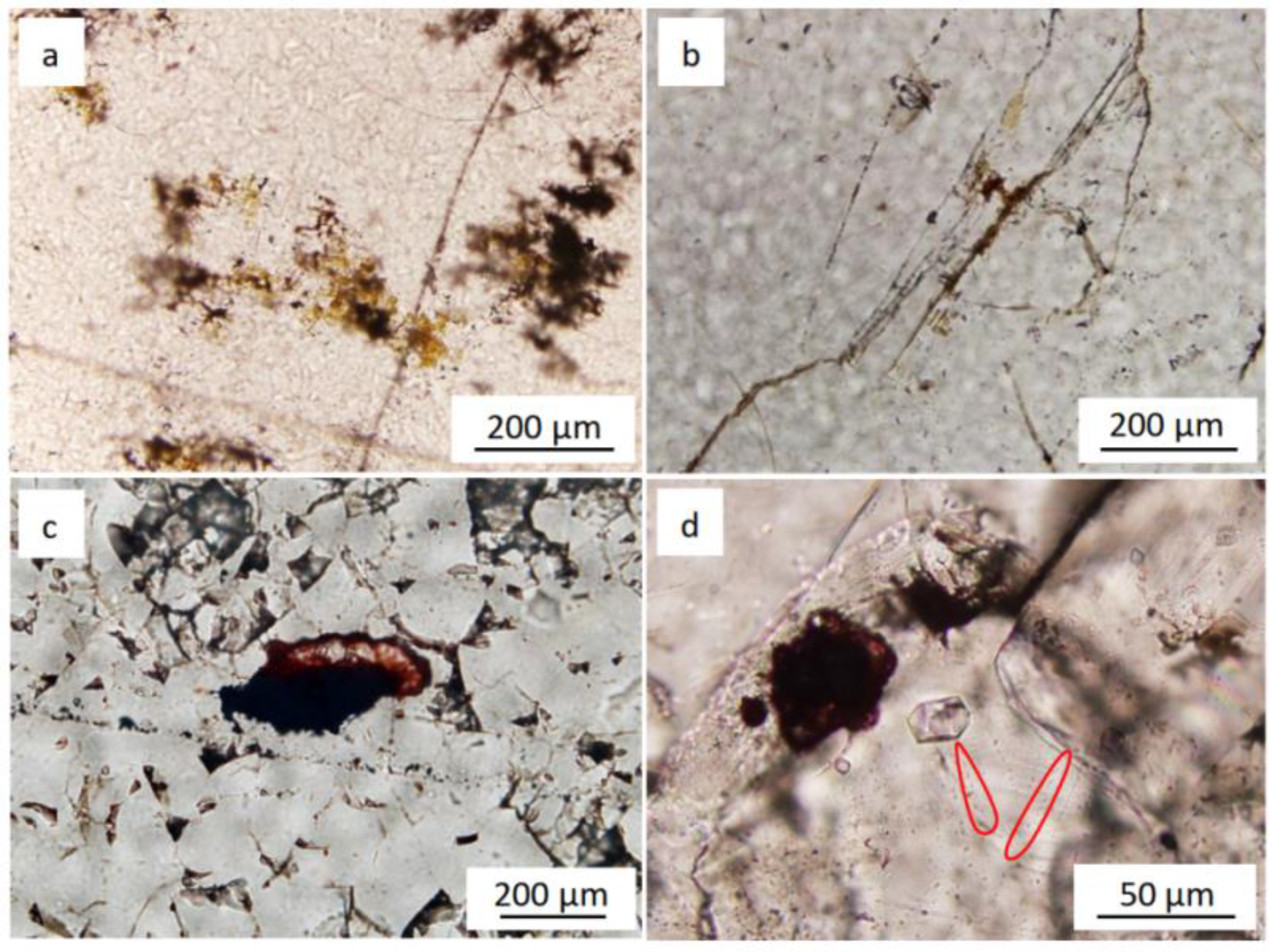 Minerals 13 00967 g009