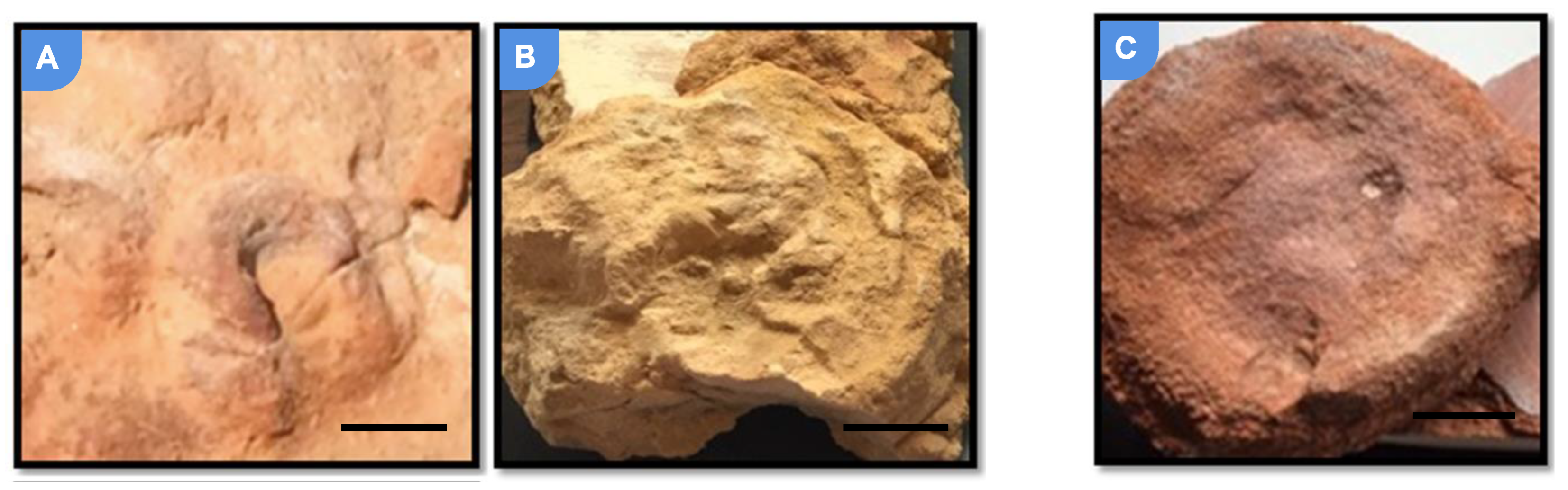 Minerals 13 00968 g003 Minerals 13 00968 g003