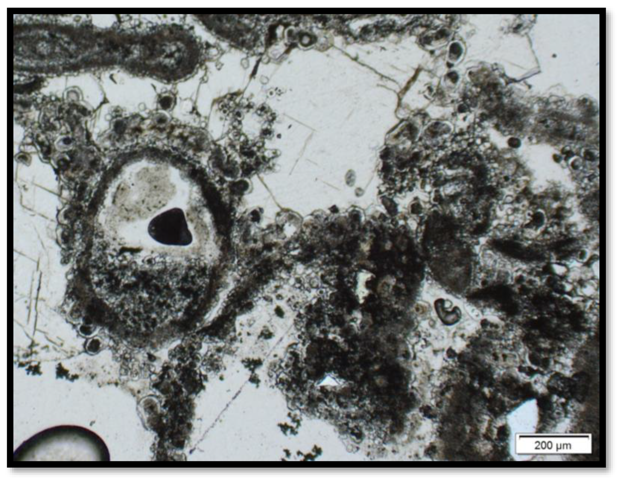 Minerals 13 00968 g010 Minerals 13 00968 g010