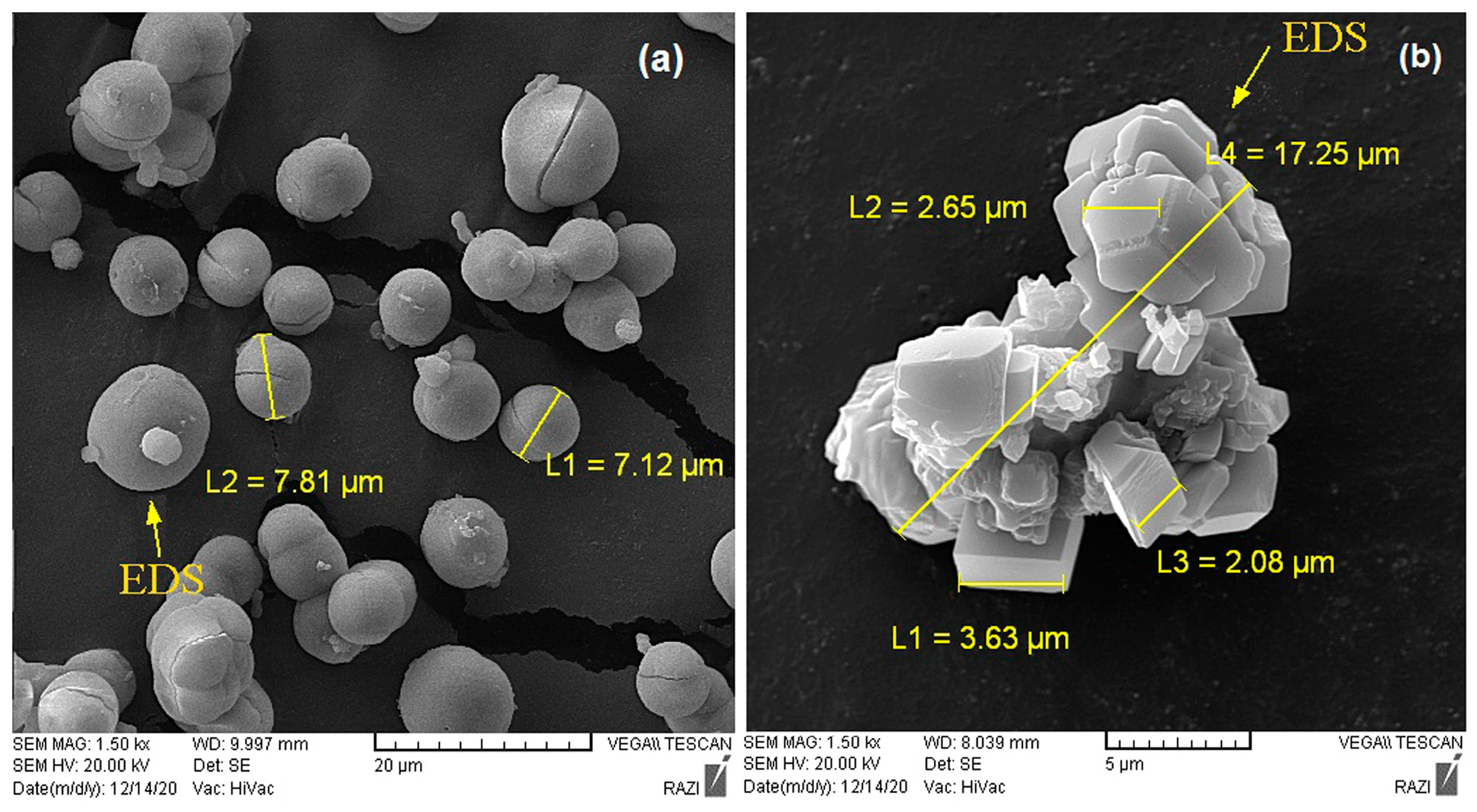 Minerals 13 00976 g006