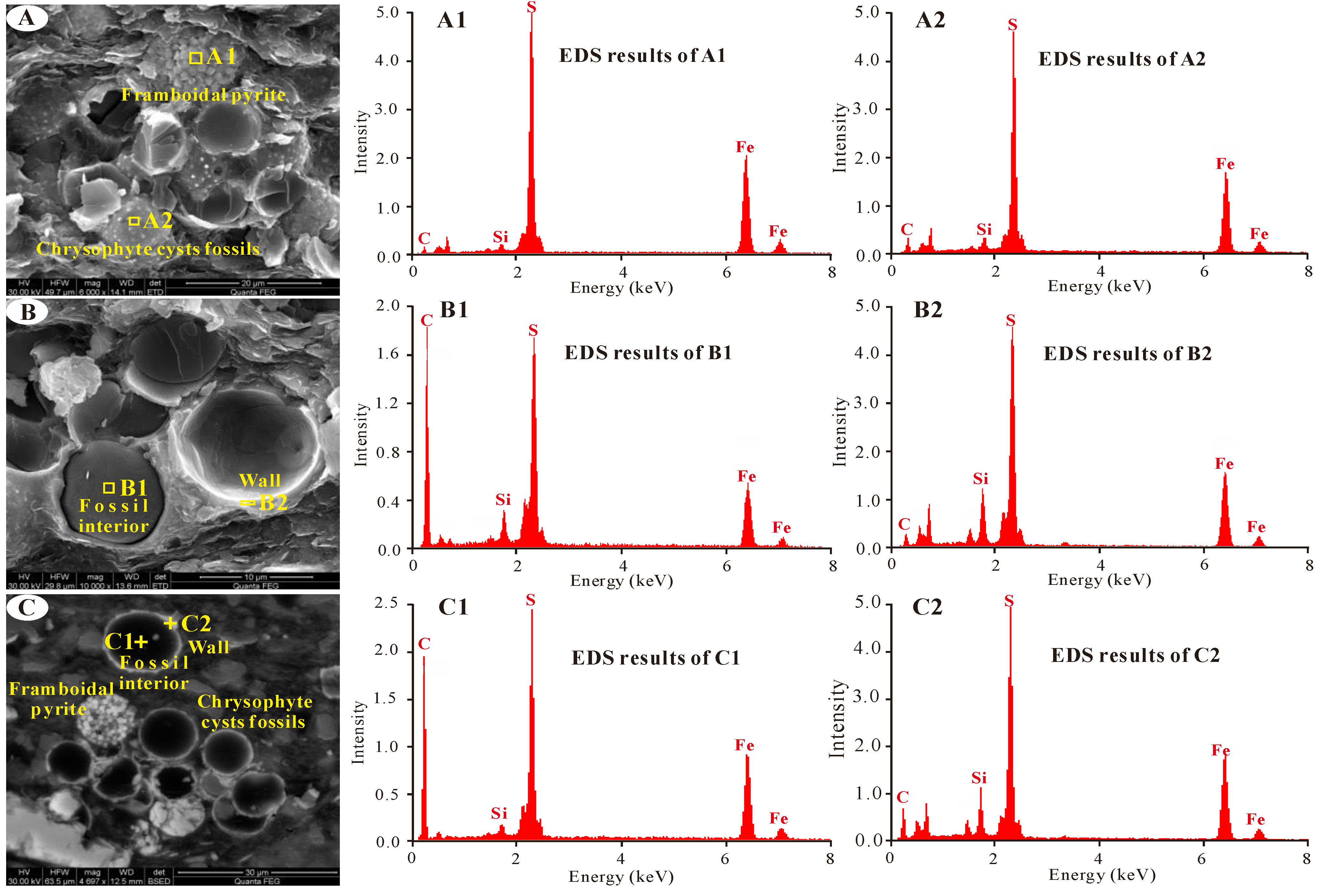 Minerals 13 00991 g008 Minerals 13 00991 g008