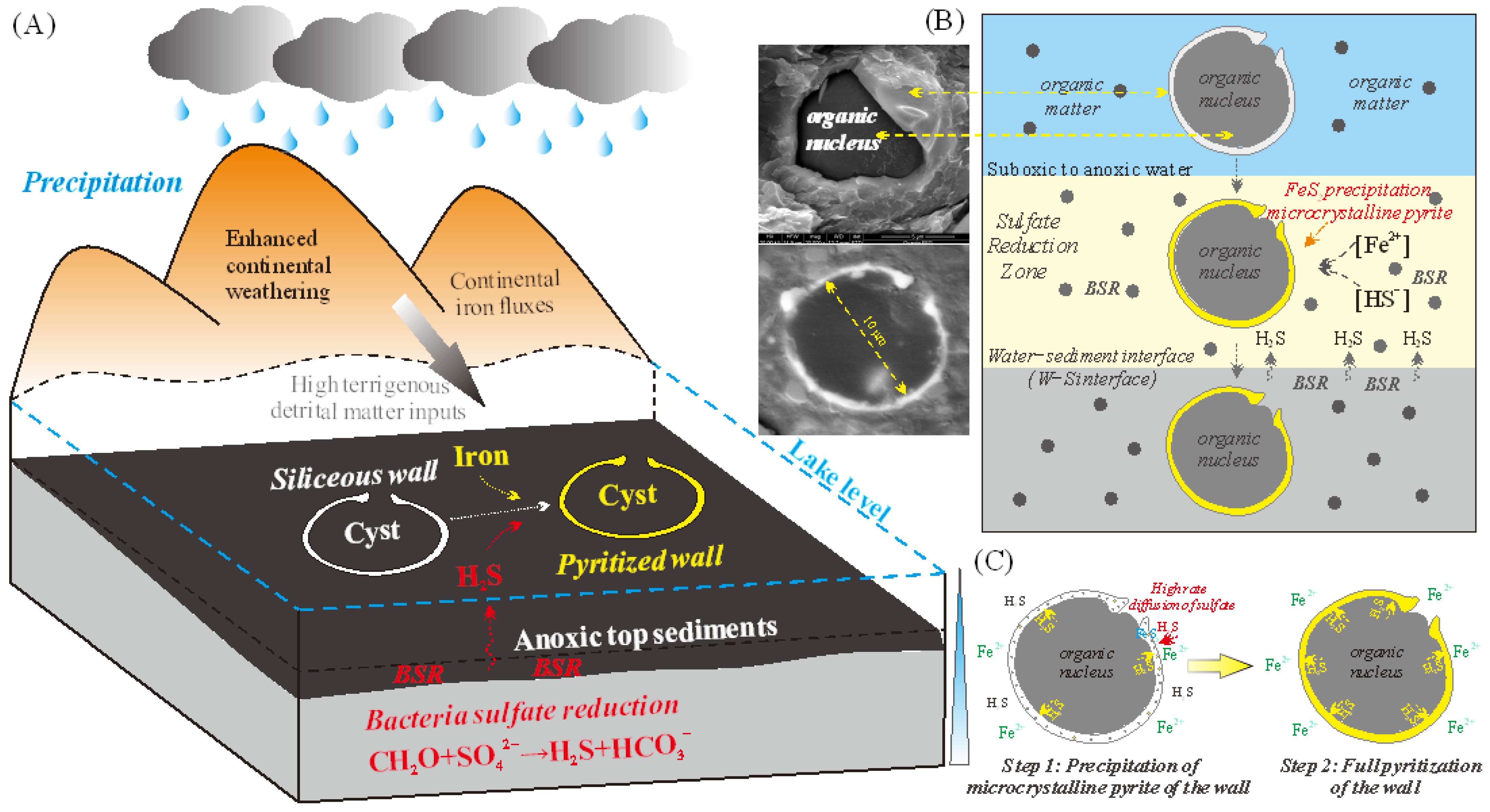 Minerals 13 00991 g009 Minerals 13 00991 g009
