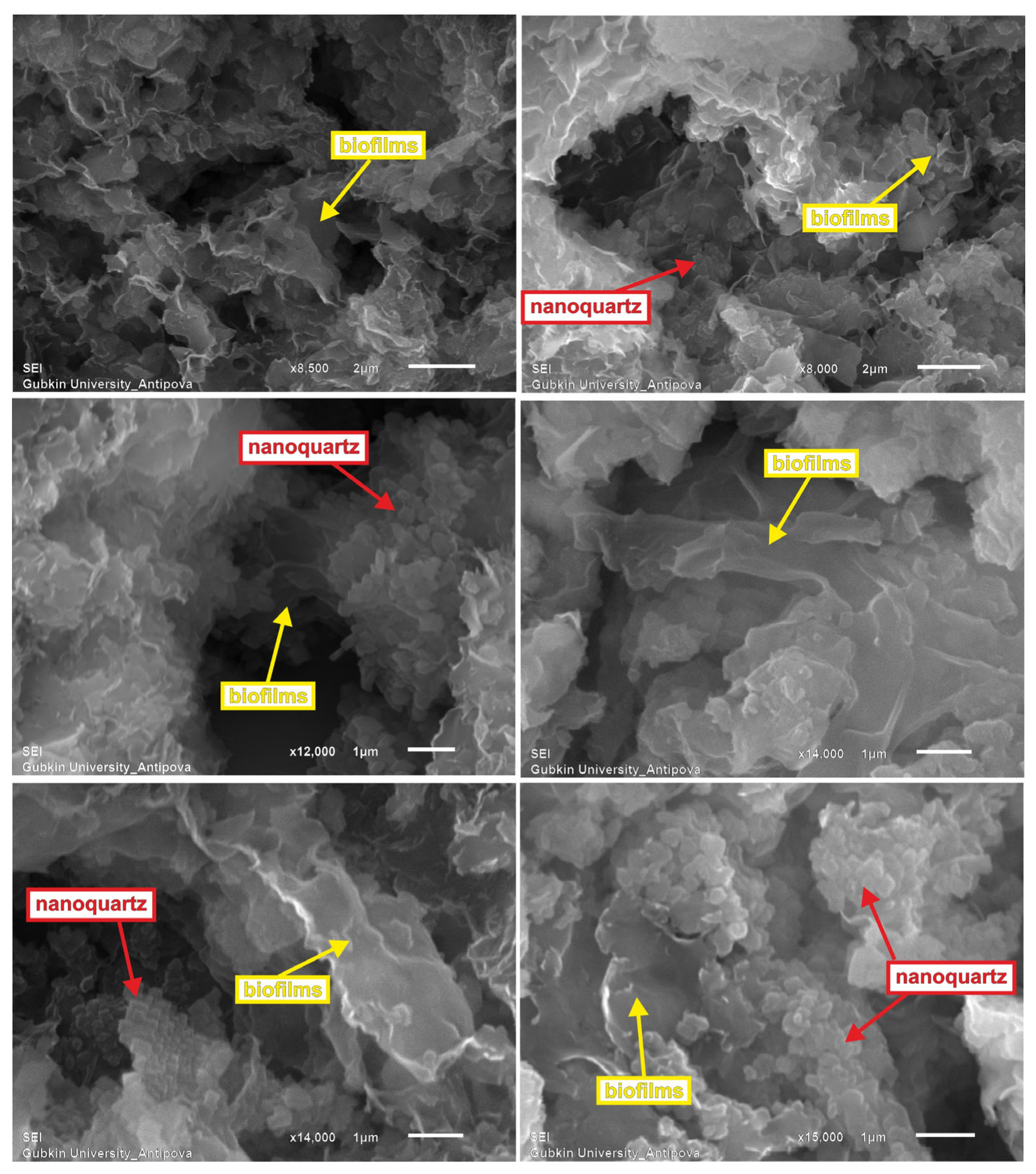Minerals 13 00993 g006