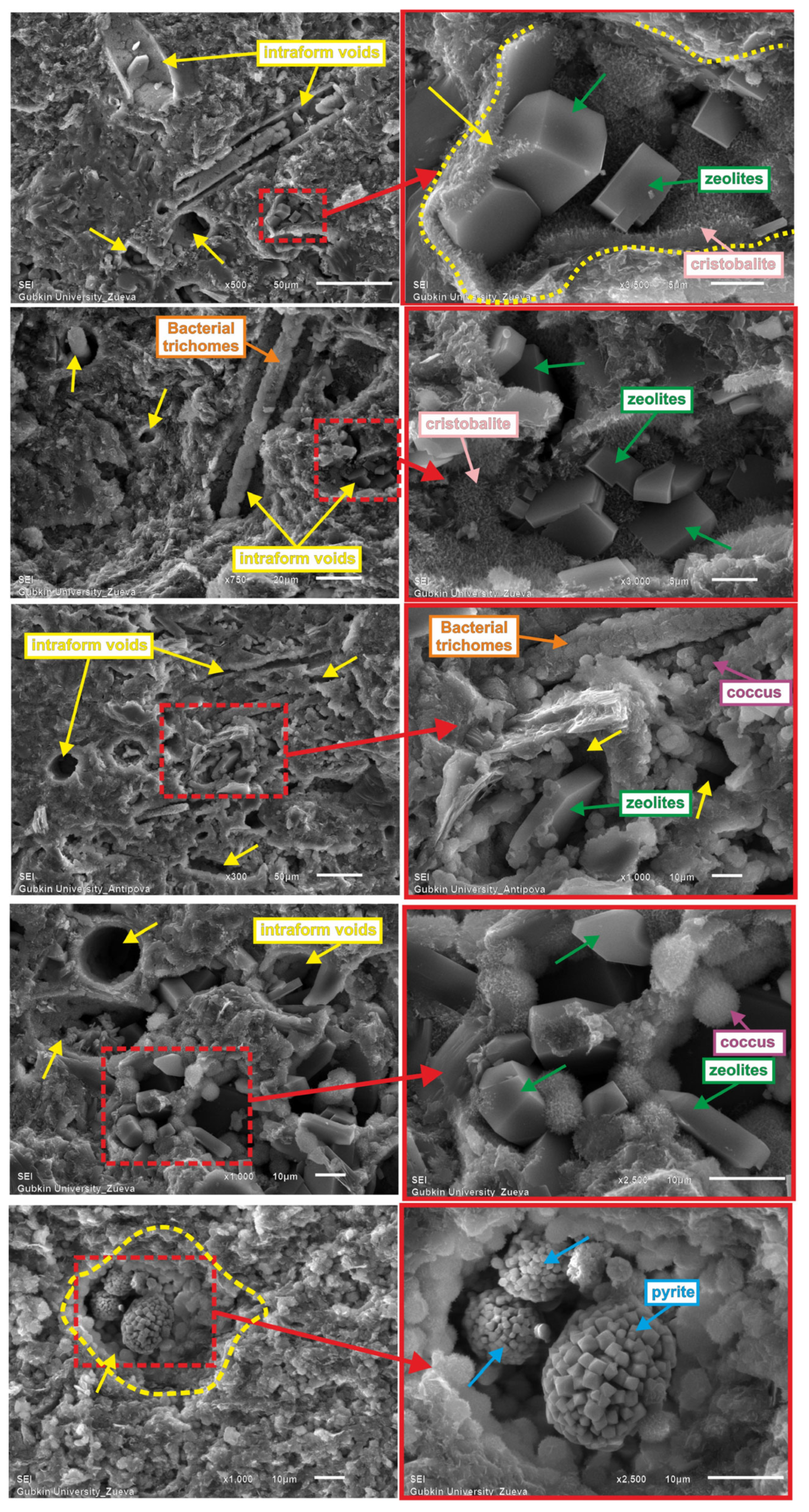 Minerals 13 00993 g008