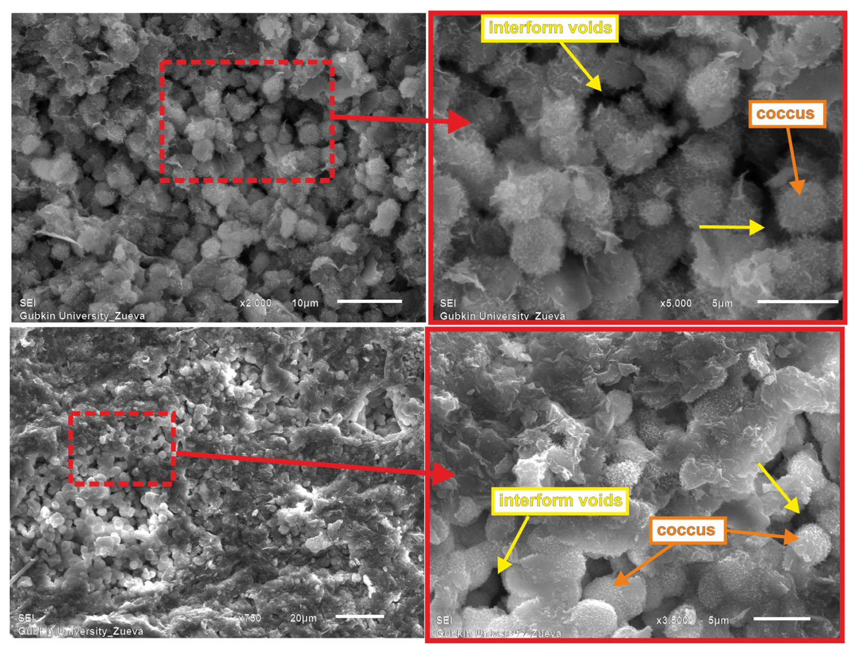 Minerals 13 00993 g009