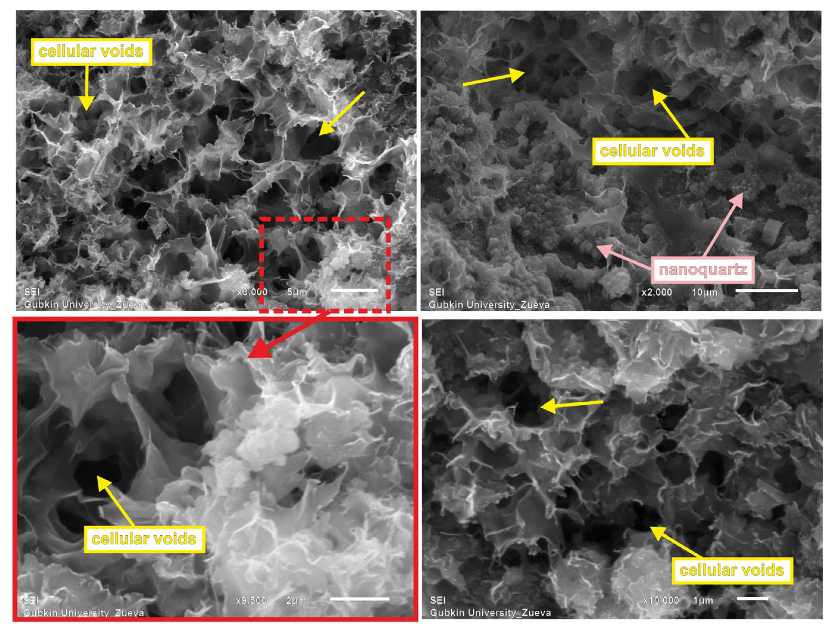 Minerals 13 00993 g010