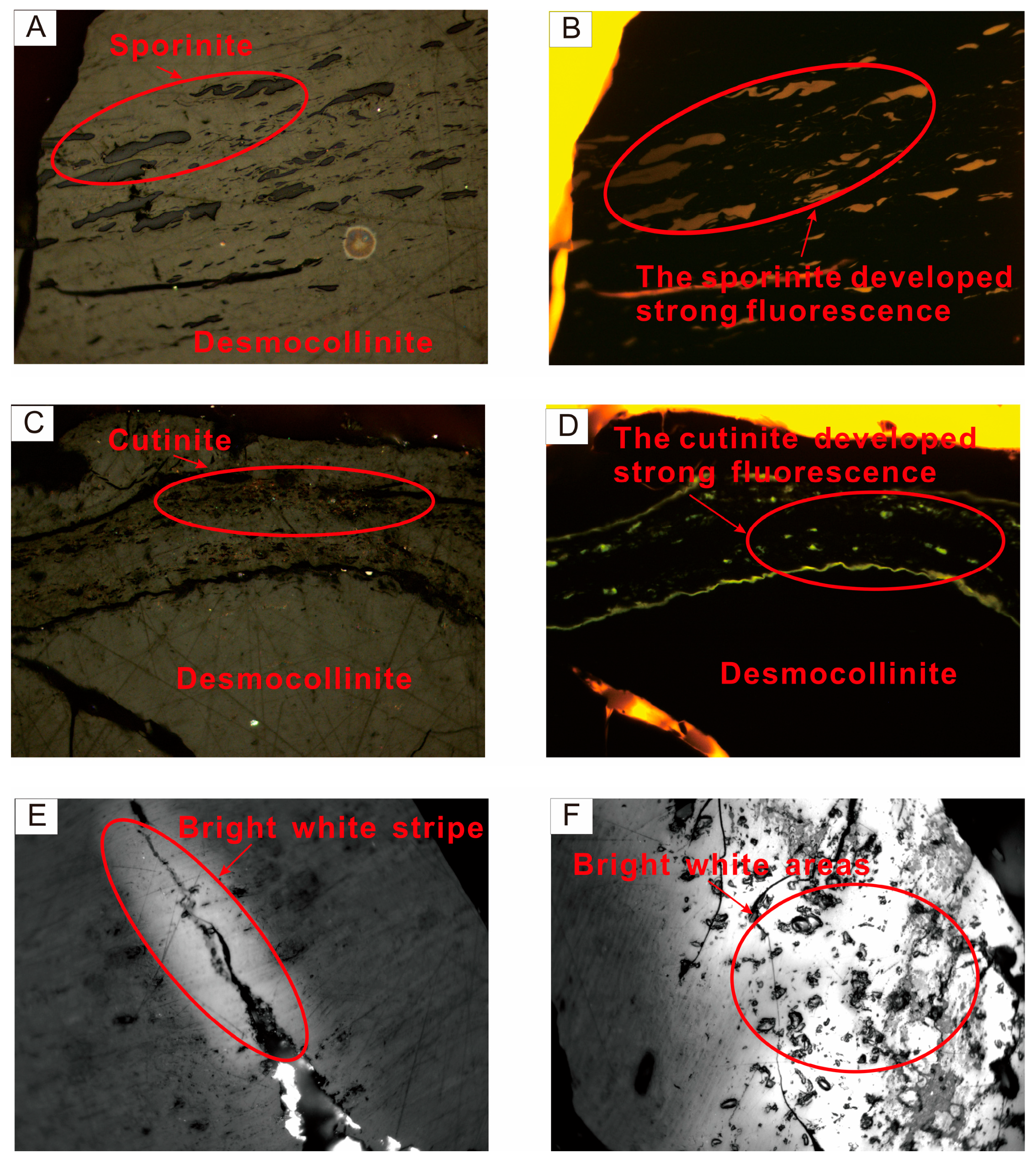 Minerals 13 01002 g006