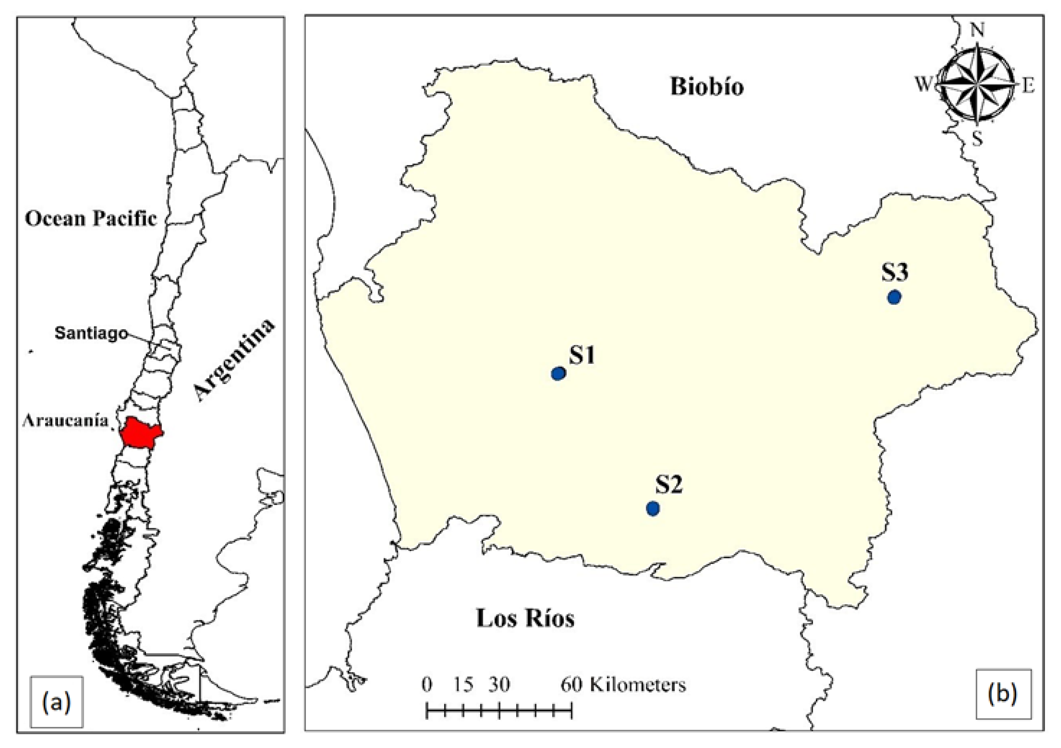 Minerals 13 01033 g001