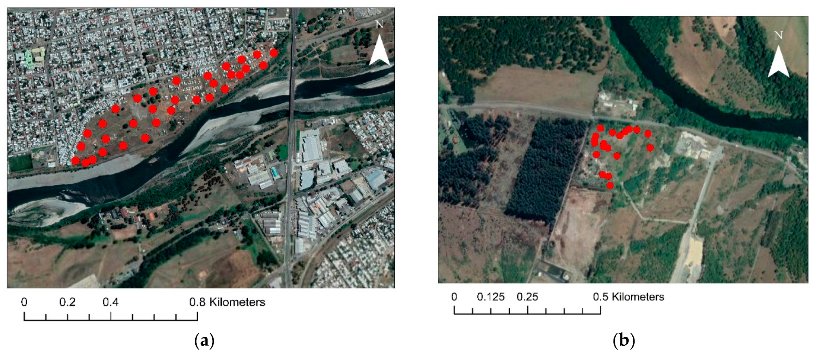 Minerals 13 01033 g002a