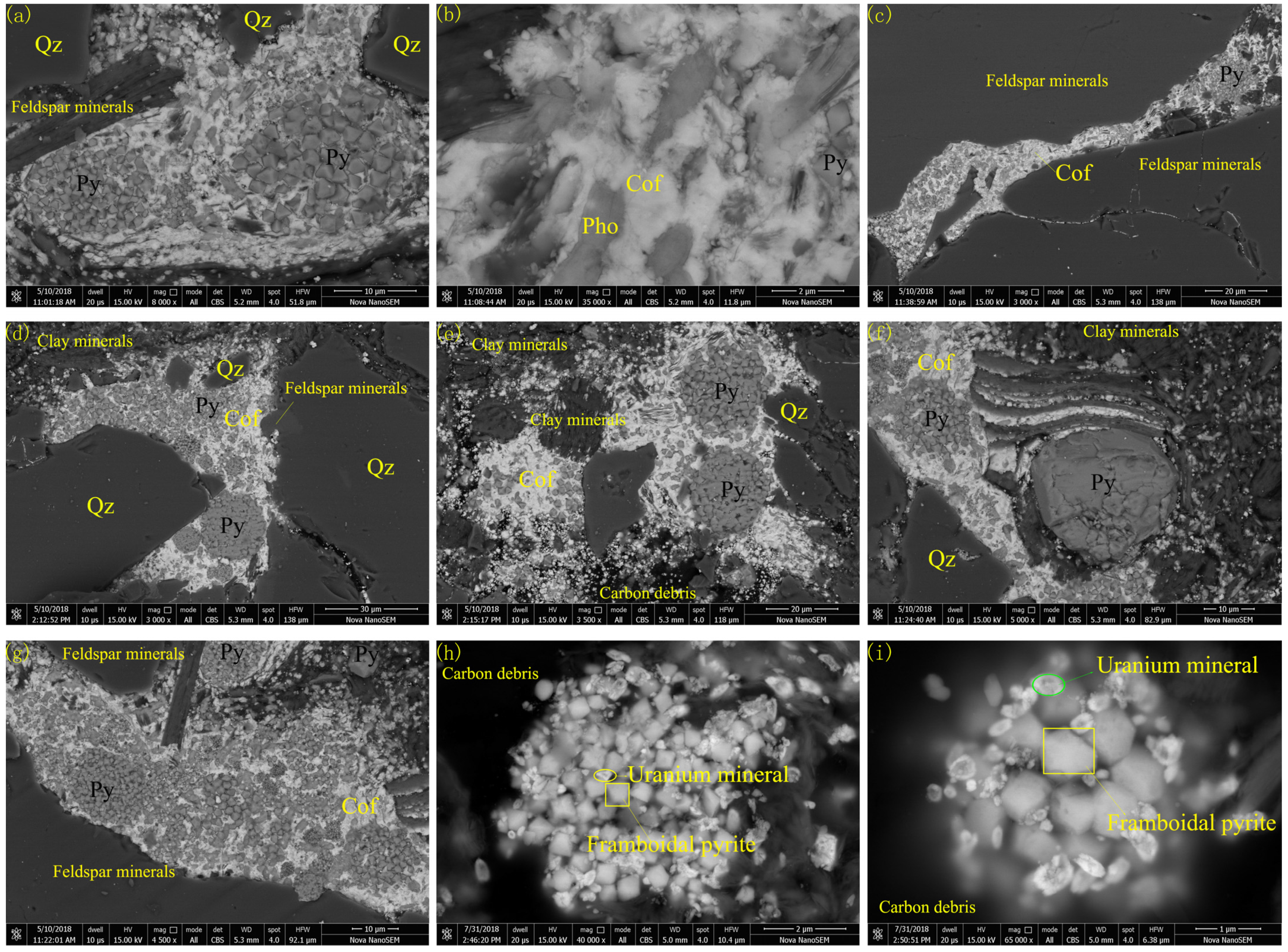 Minerals 13 01037 g005