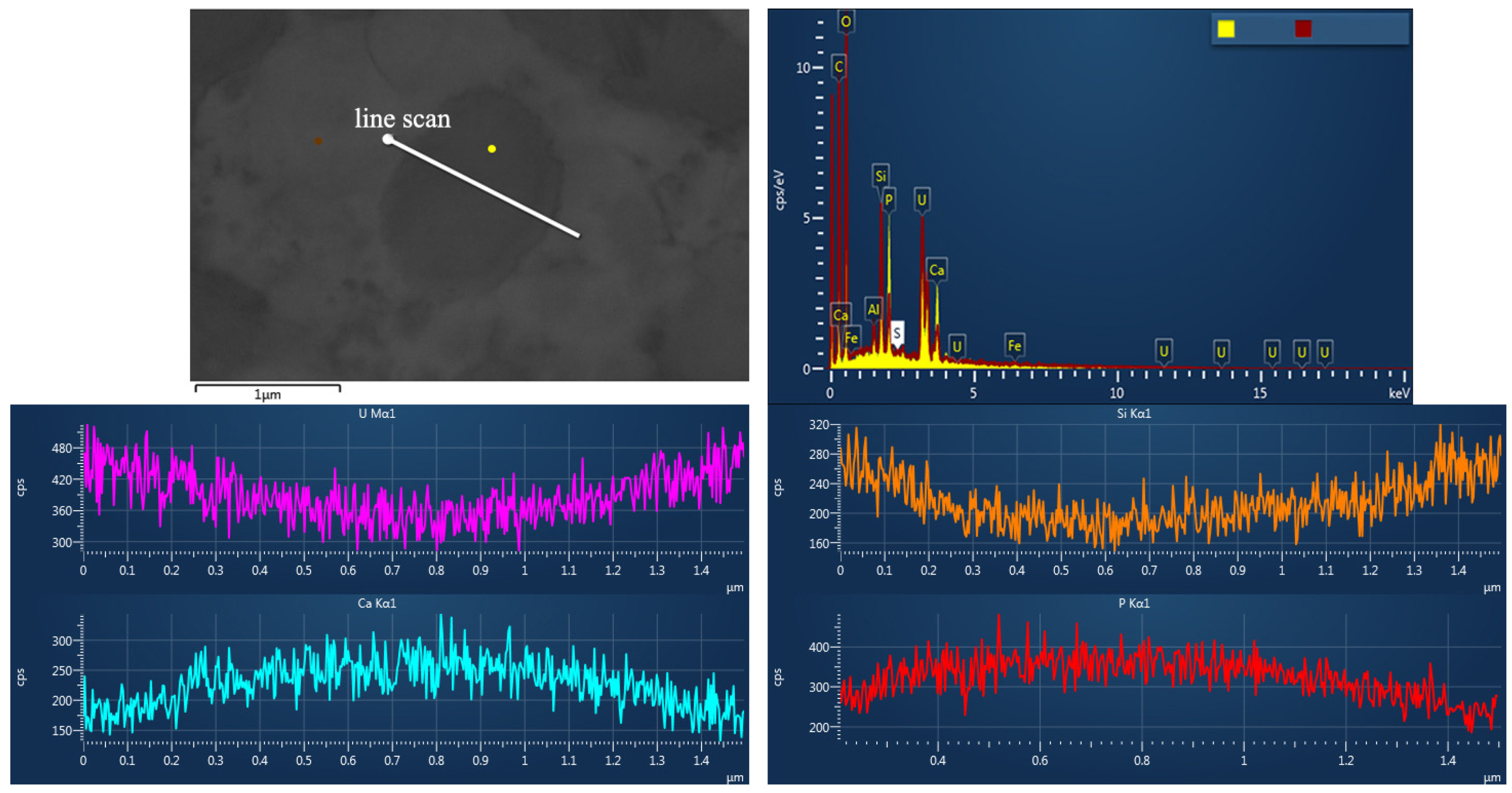 Minerals 13 01037 g006