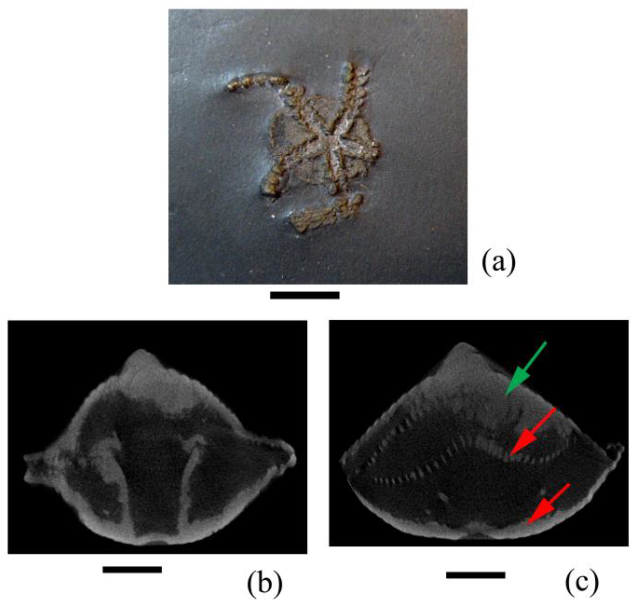 Minerals 13 01050 g001