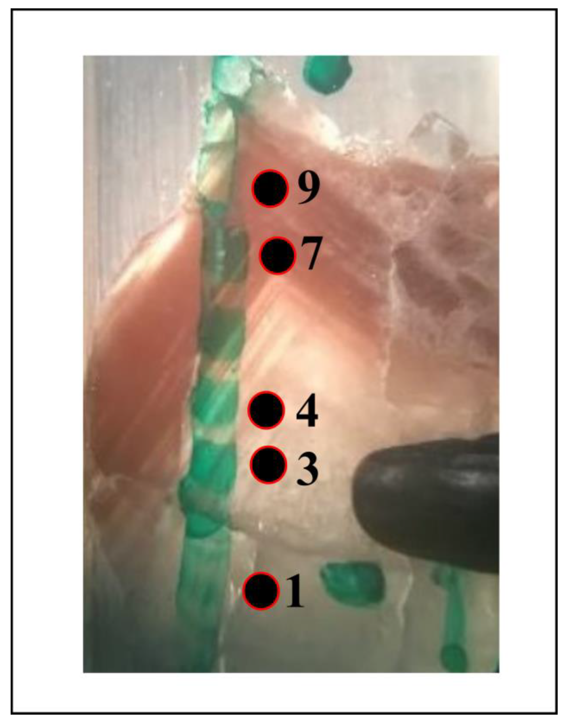 Minerals 13 01057 g013