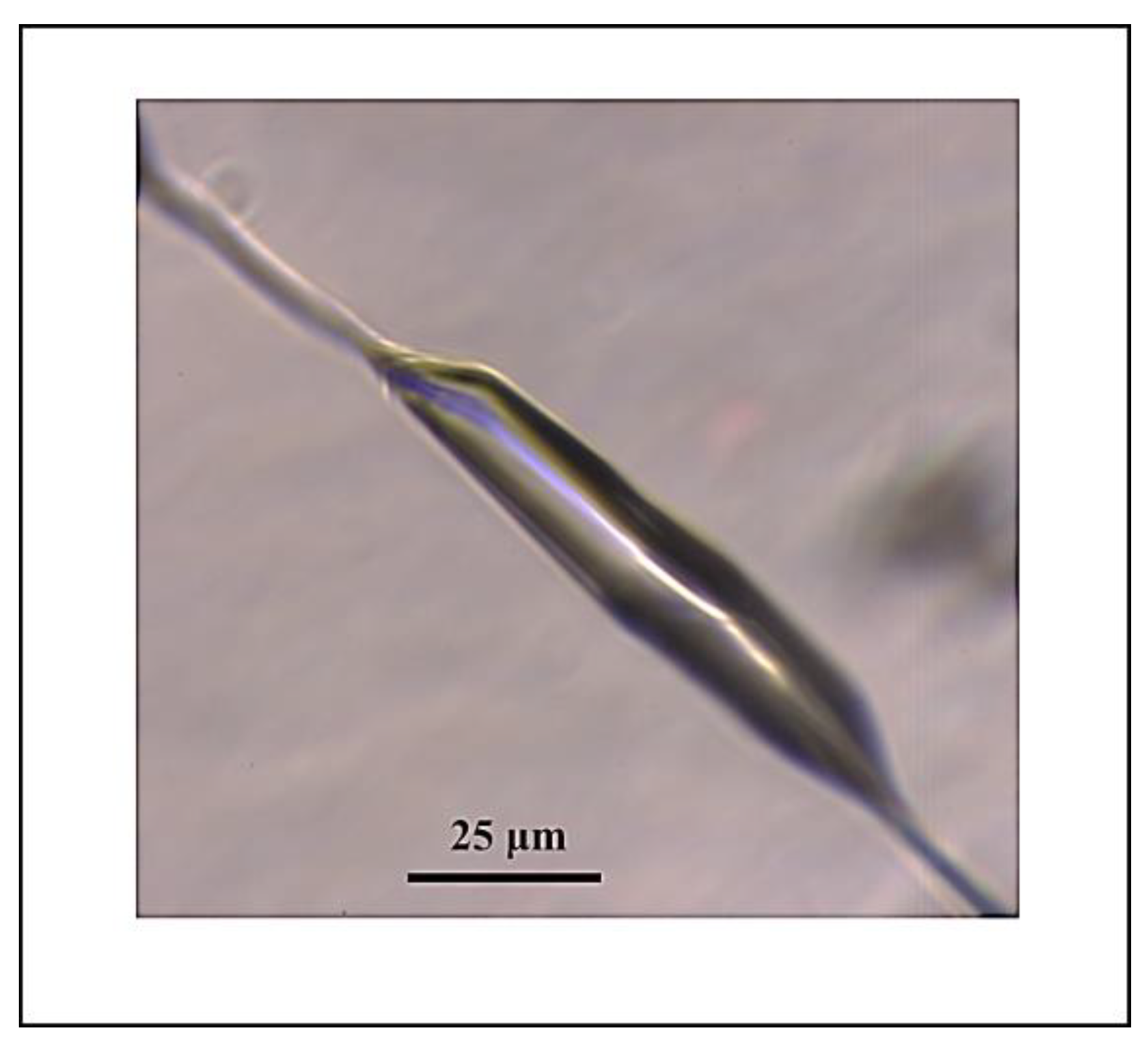 Minerals 13 01057 g015