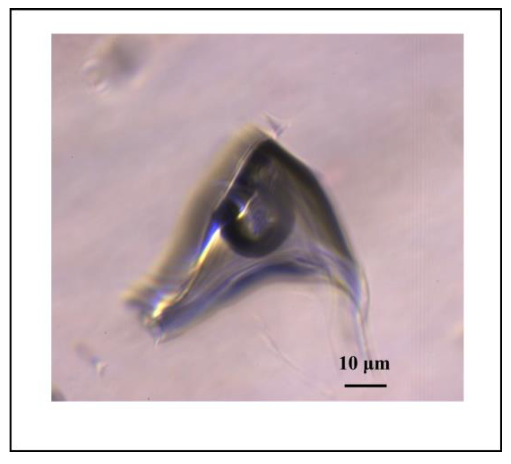 Minerals 13 01057 g016