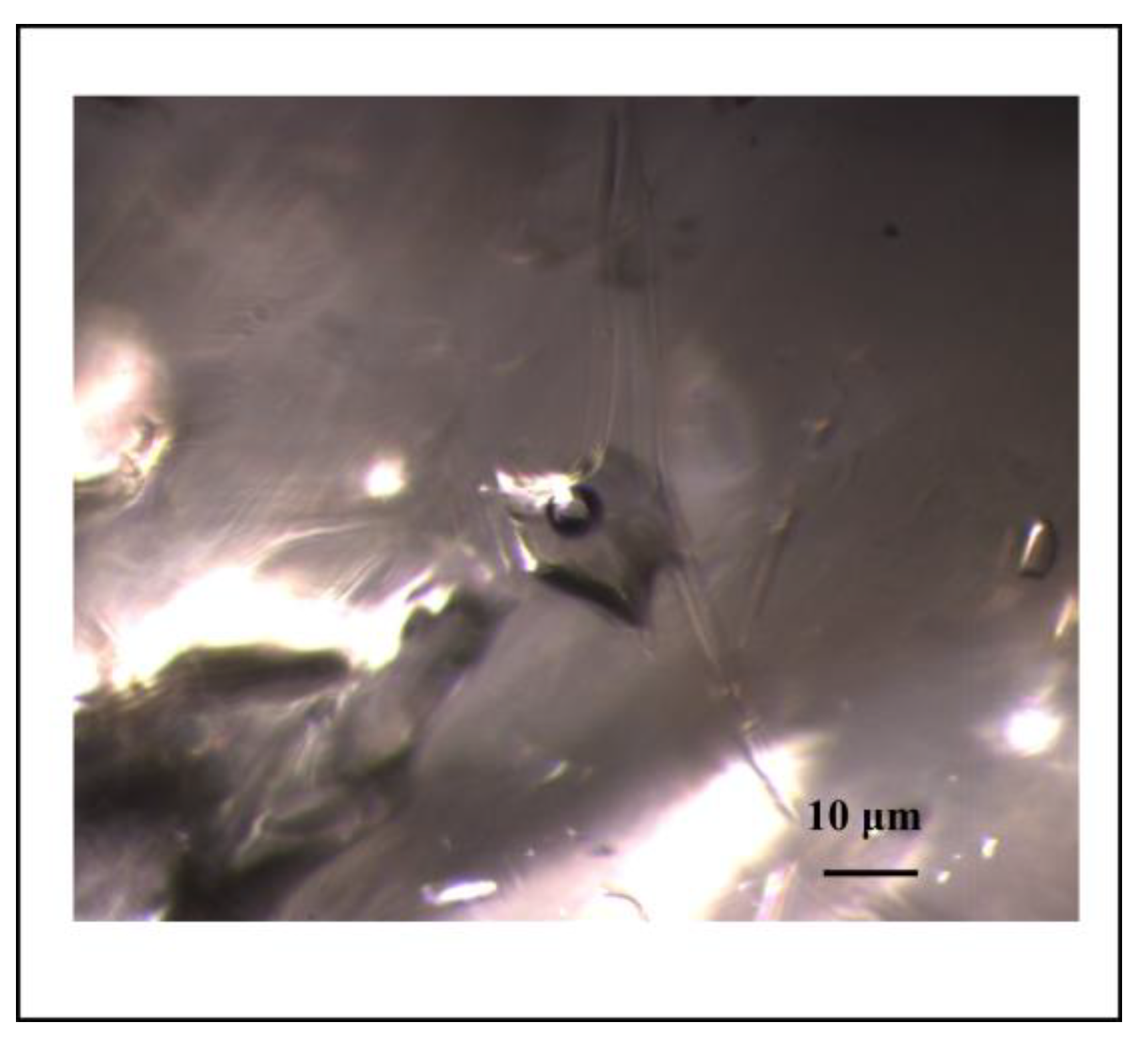 Minerals 13 01057 g017