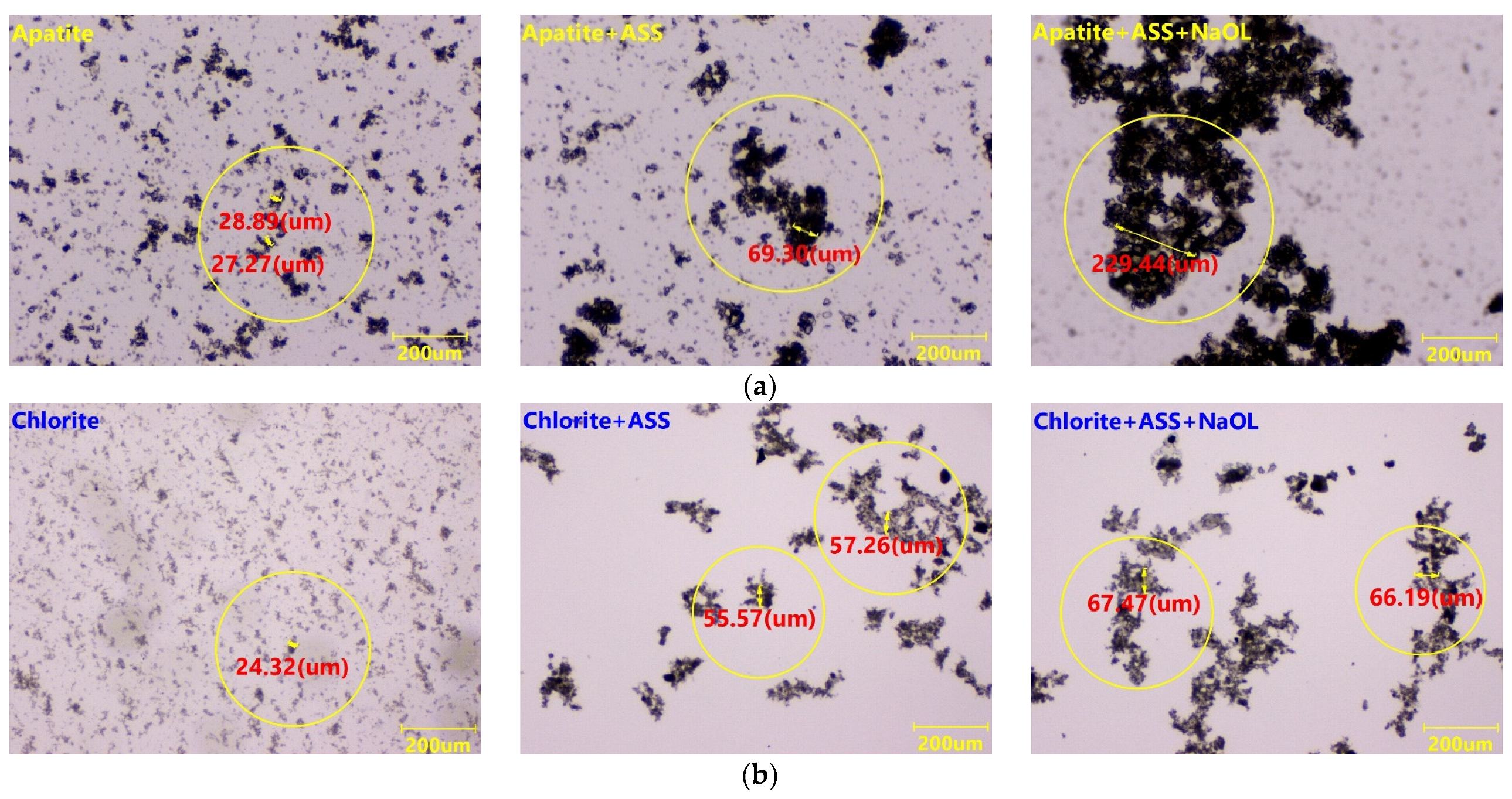 Minerals 13 01061 g013