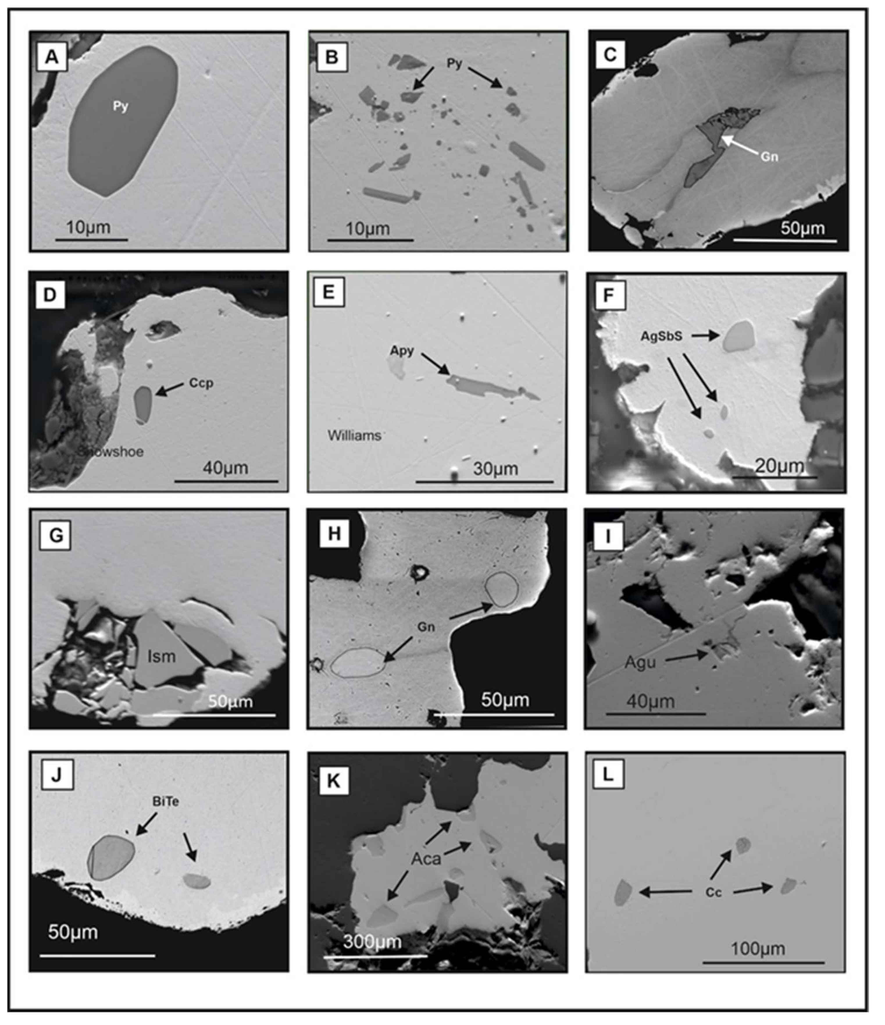 Minerals 13 01072 g005