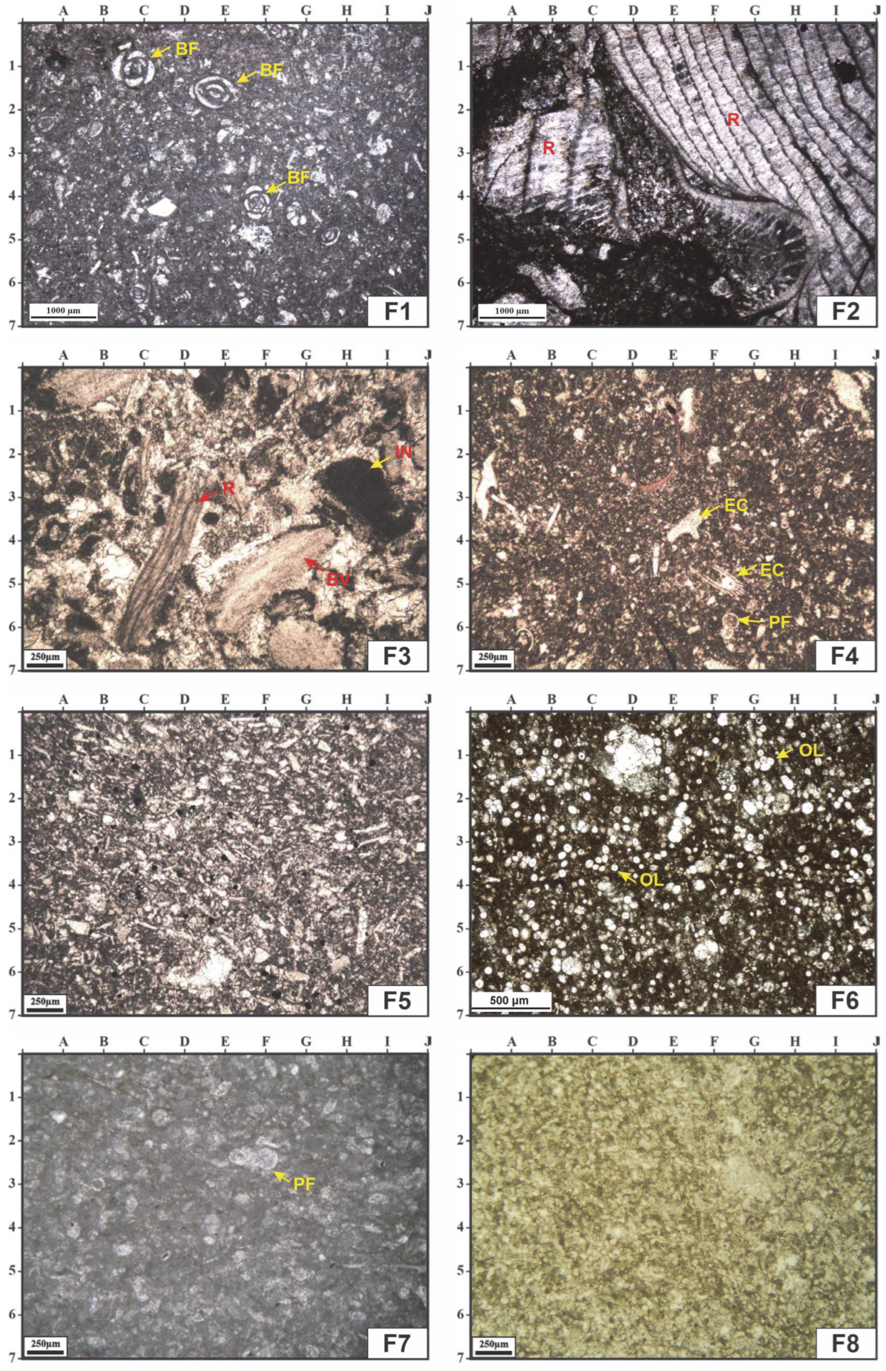 Minerals 13 01078 g003 Minerals 13 01078 g003