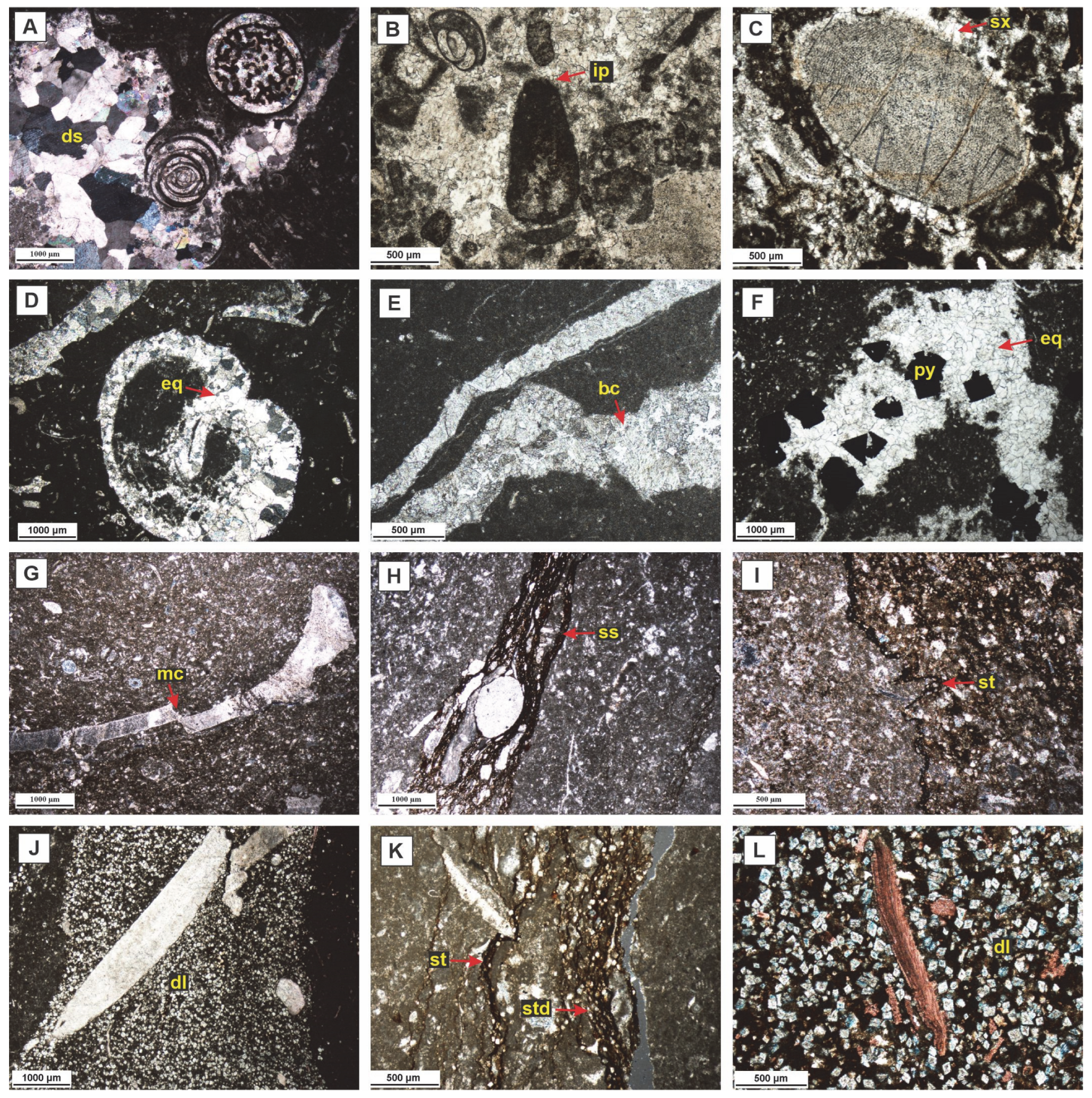 Minerals 13 01078 g005 Minerals 13 01078 g005
