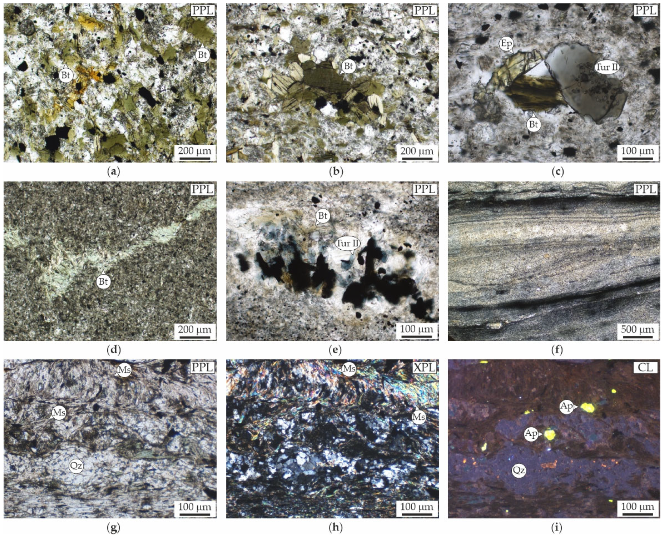 Minerals 13 01083 g008