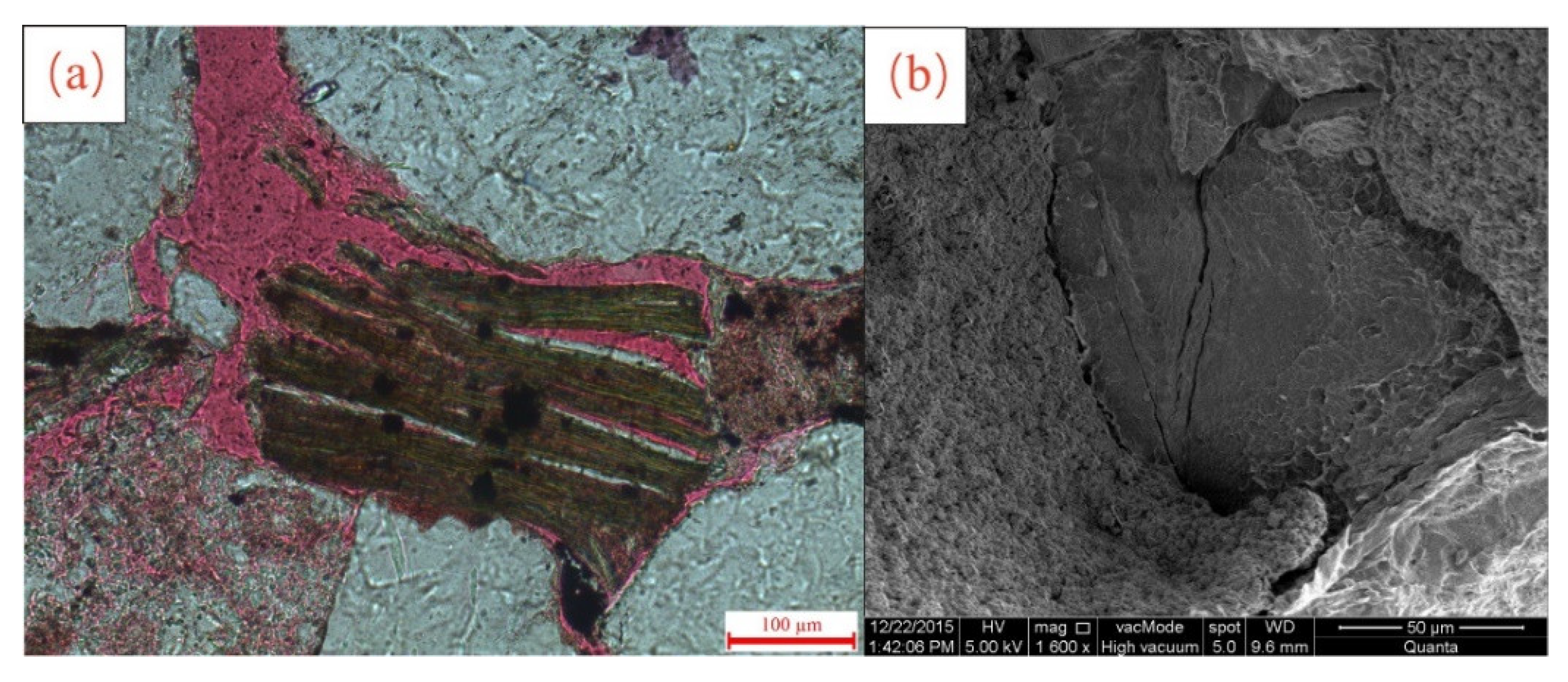 Minerals 13 01102 g006