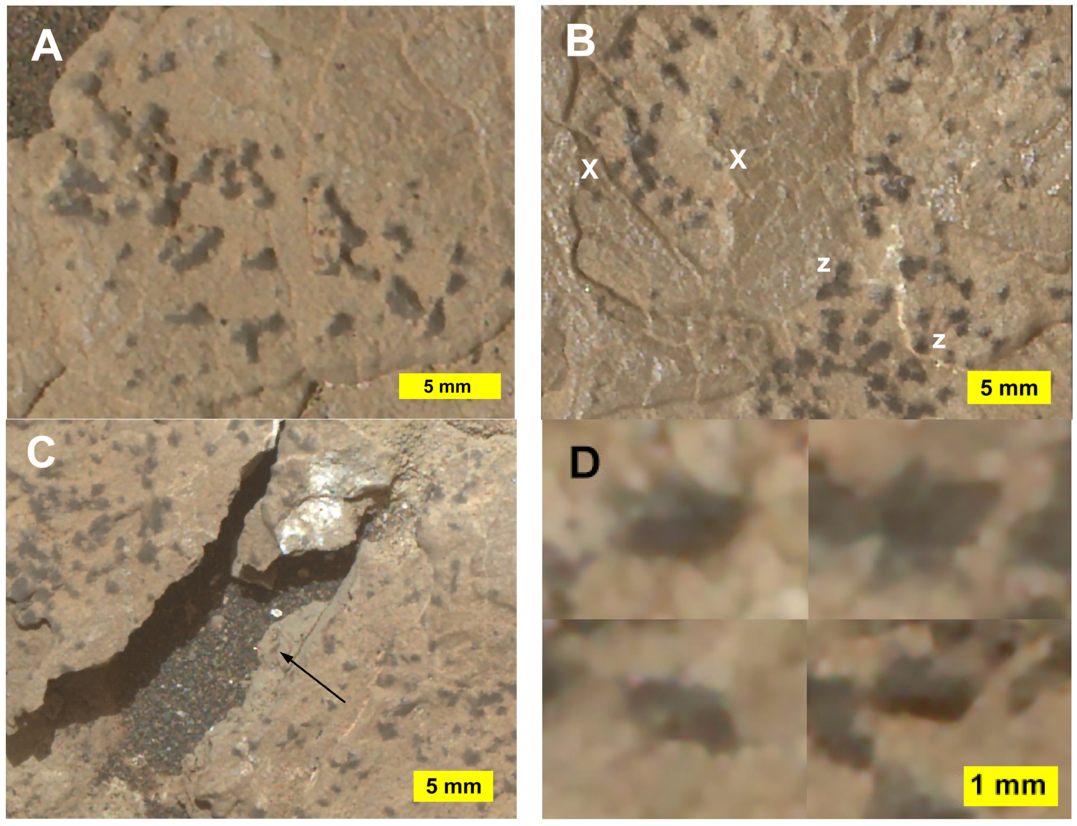 Minerals 13 01122 g005