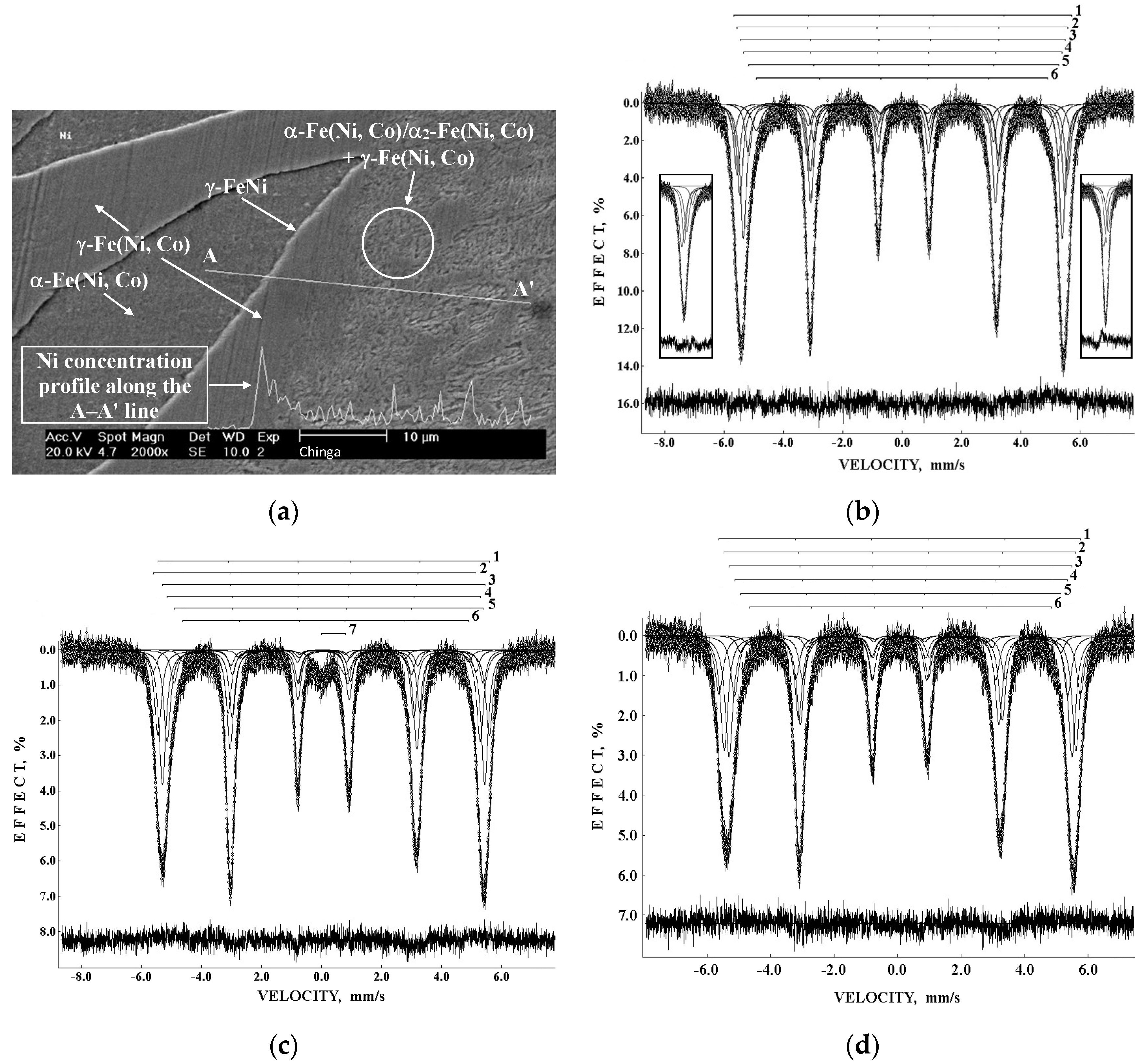Minerals 13 01126 g003