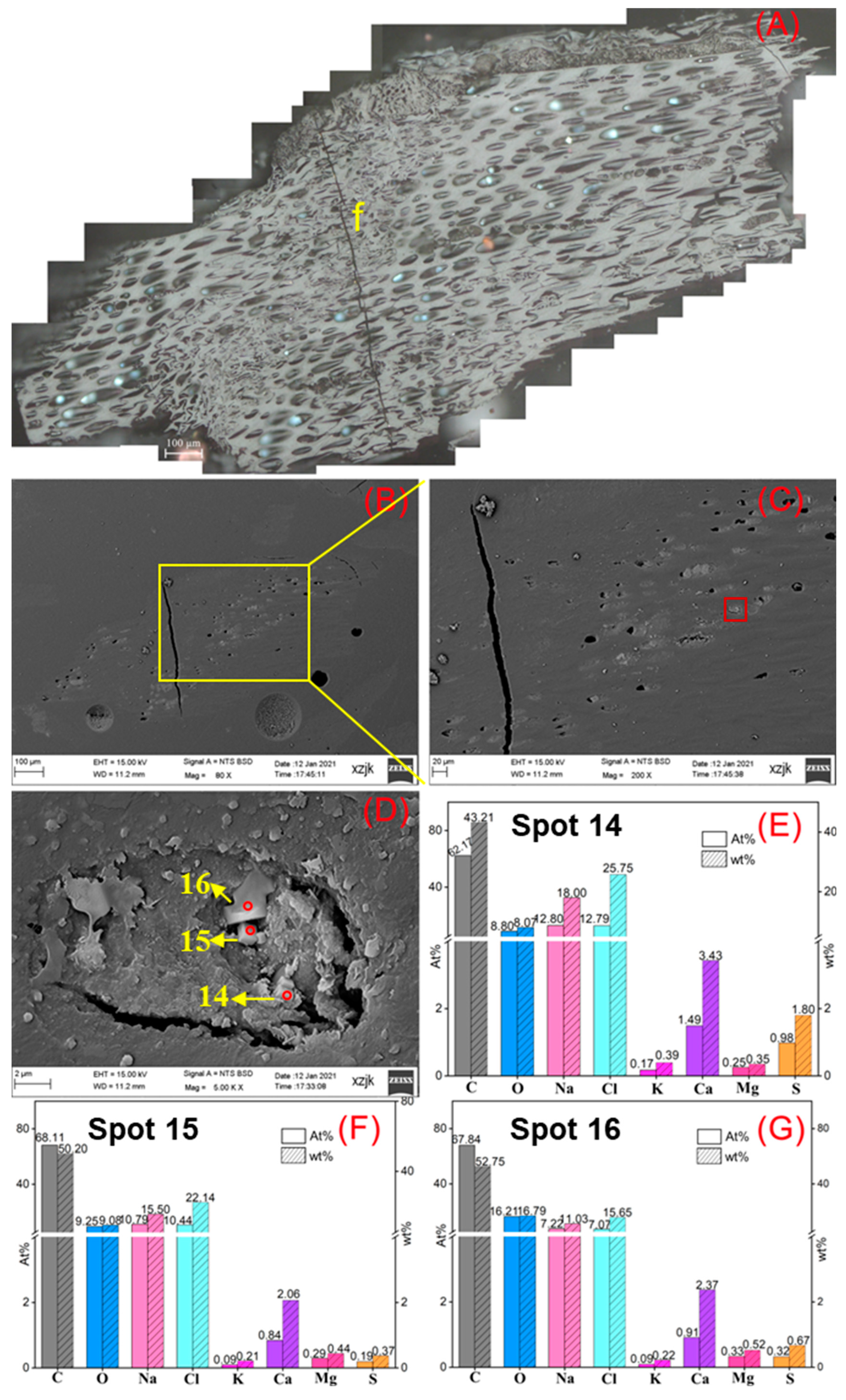 Minerals 13 01155 g013