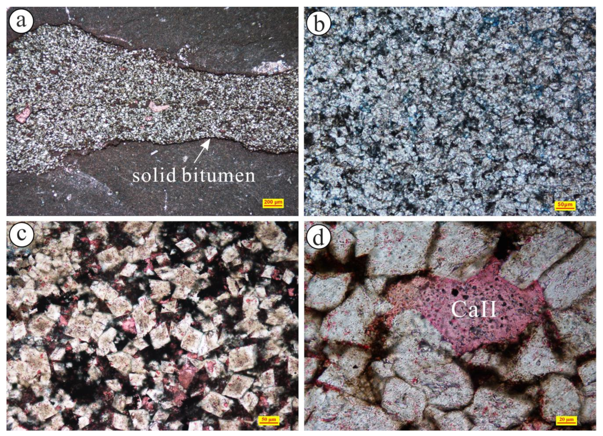 Minerals 13 01172 g007