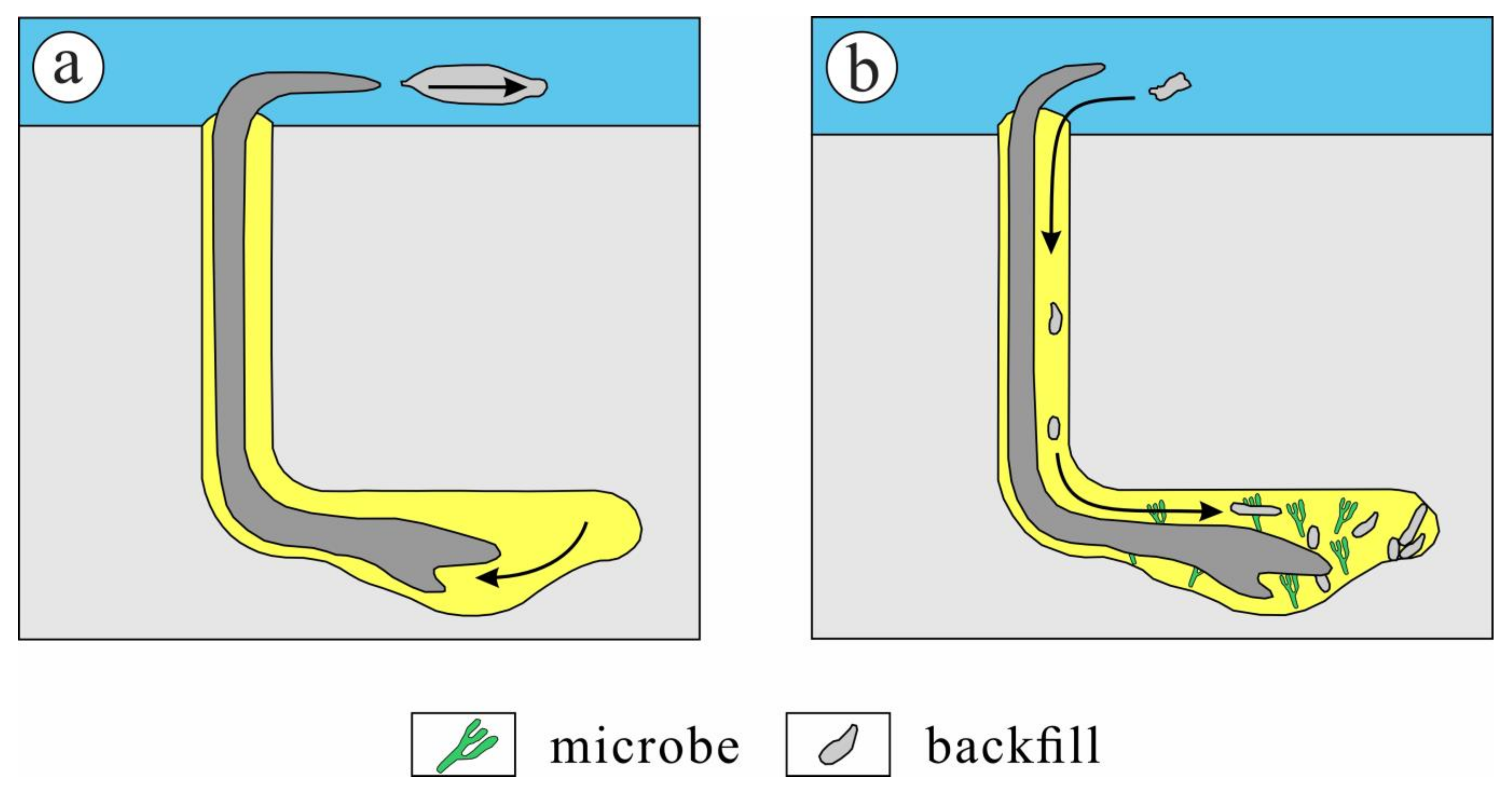 Minerals 13 01172 g013