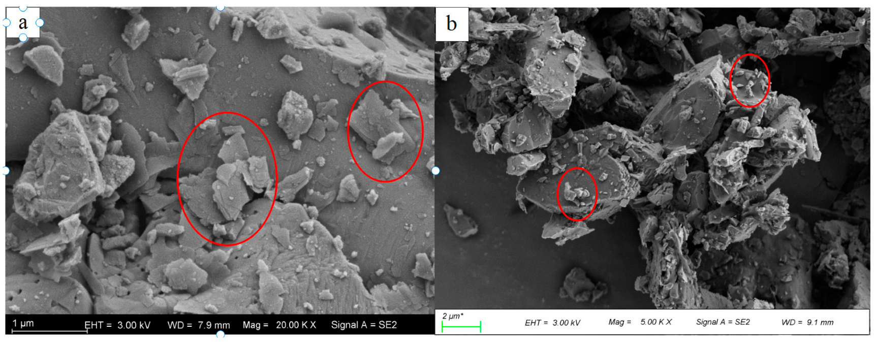 Minerals 13 01188 g012 Minerals 13 01188 g012